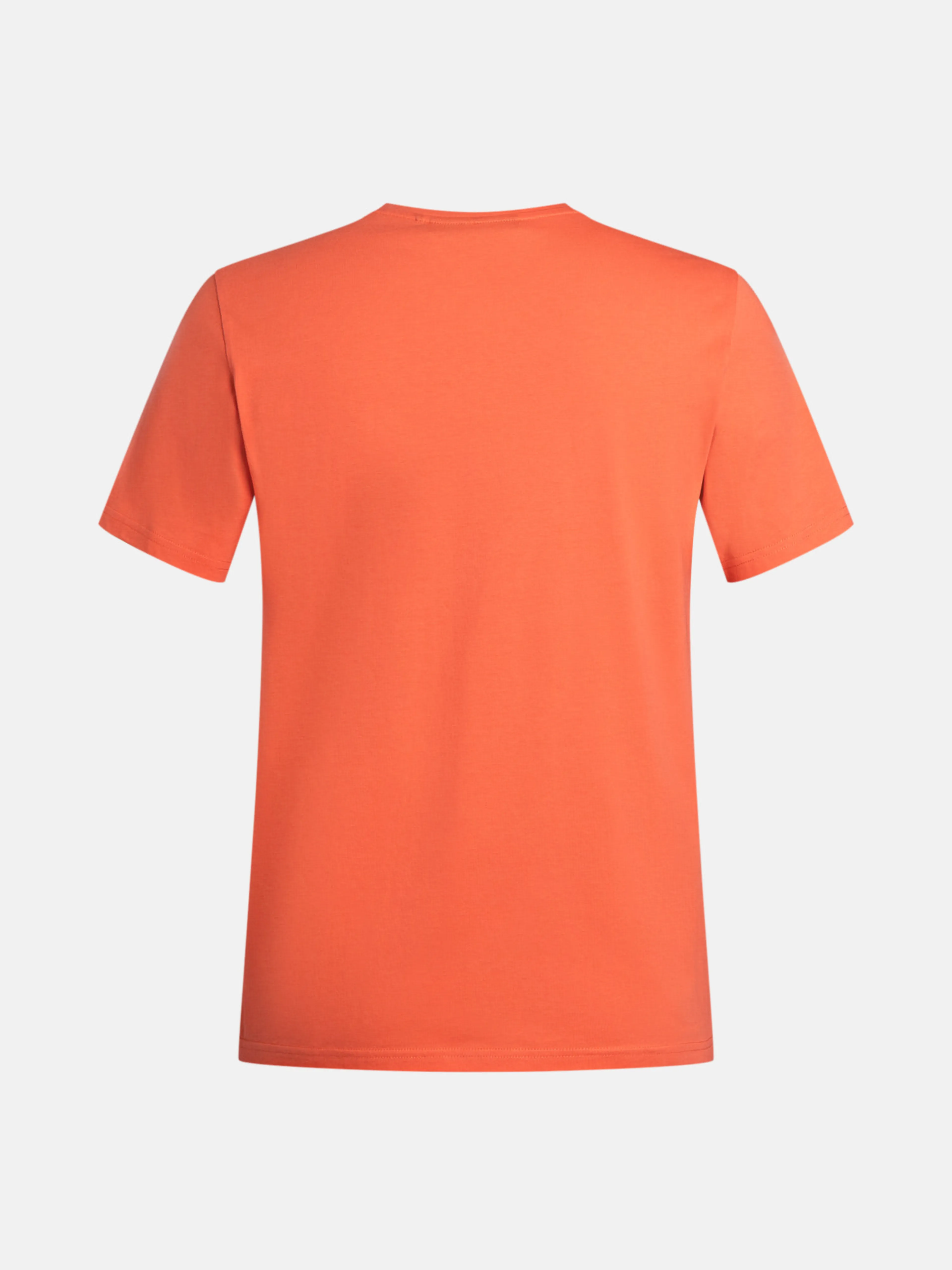 Big Logo t-skjorte herre