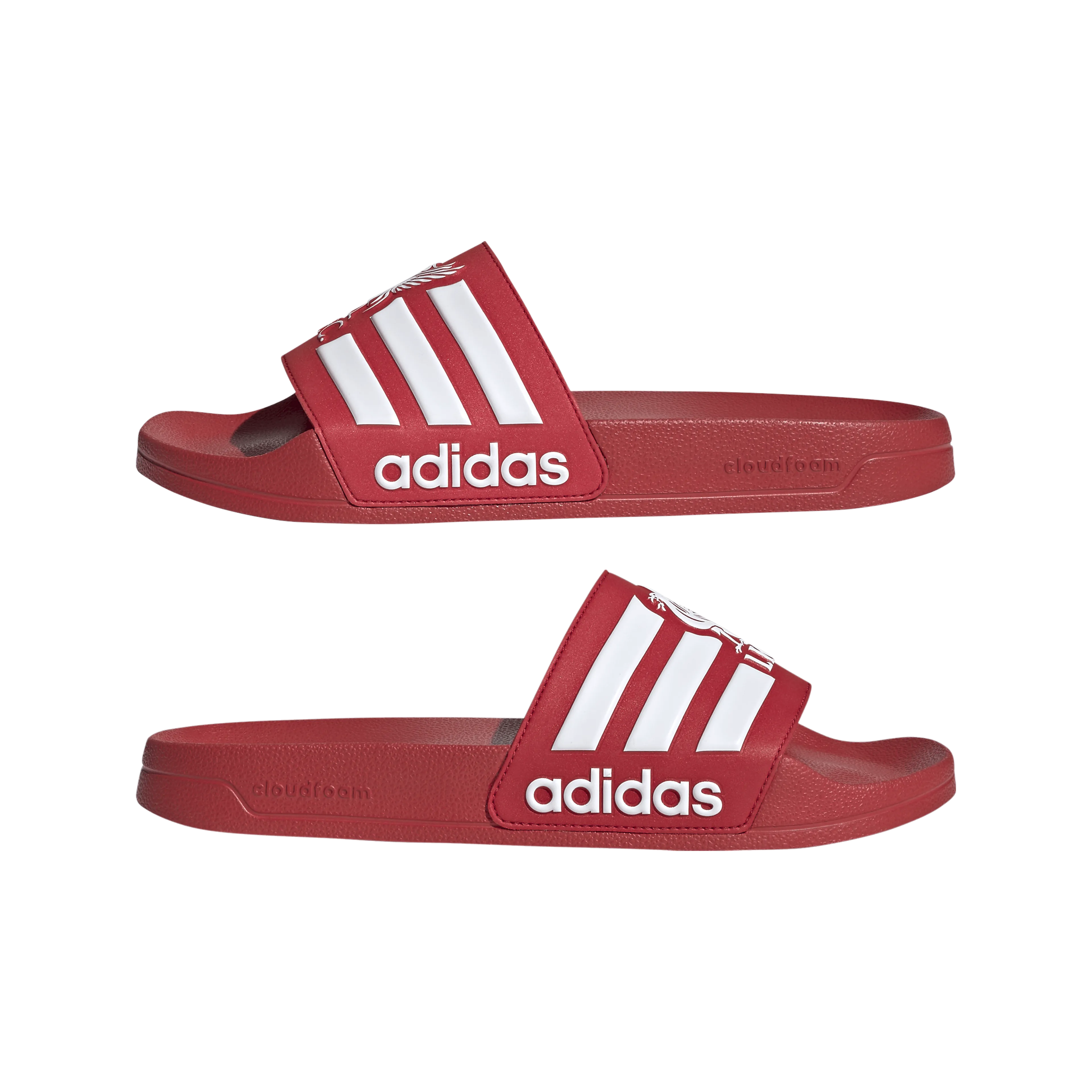 Adilette Shower Liverpool Slides