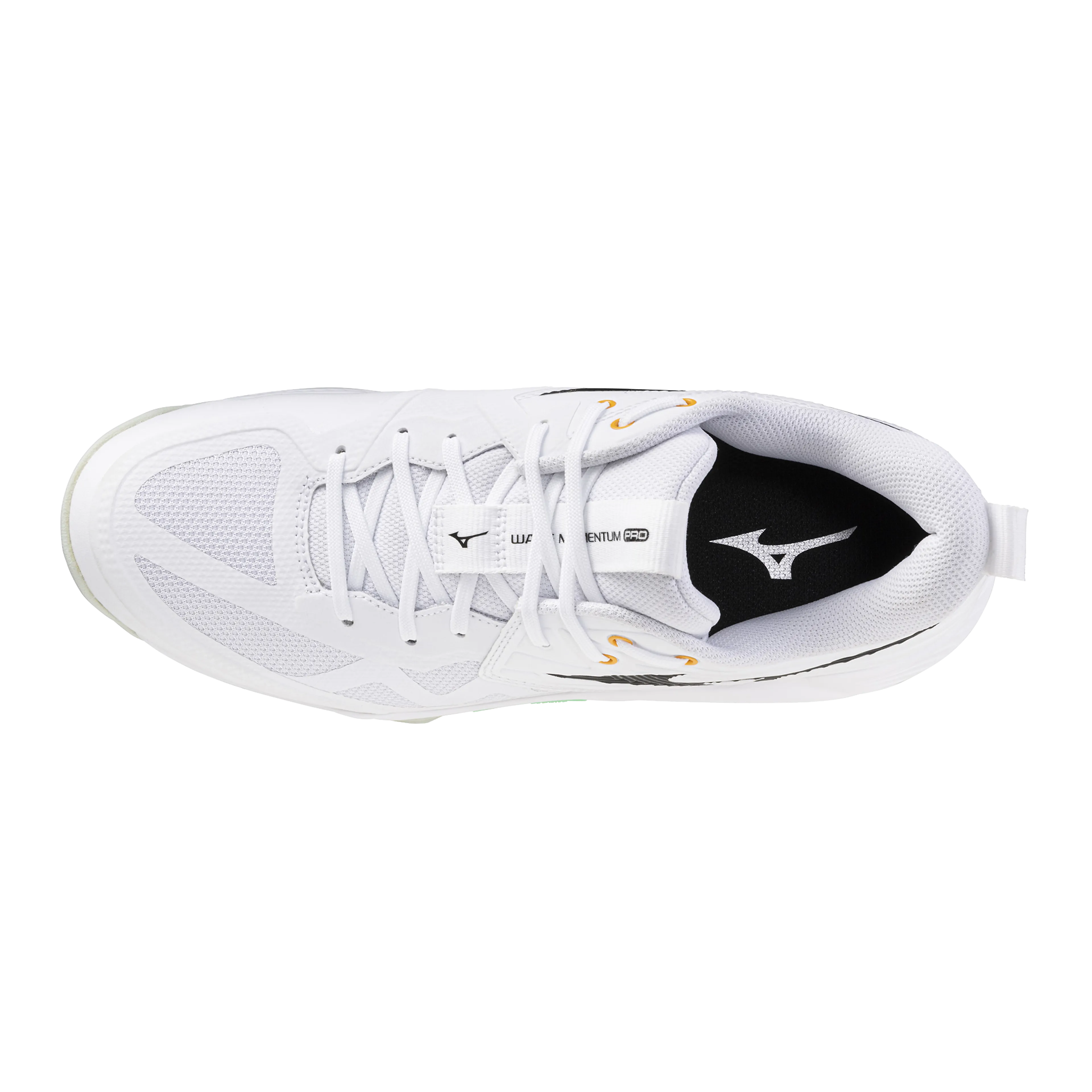 WAVE MOMENTUM PRO(U)
