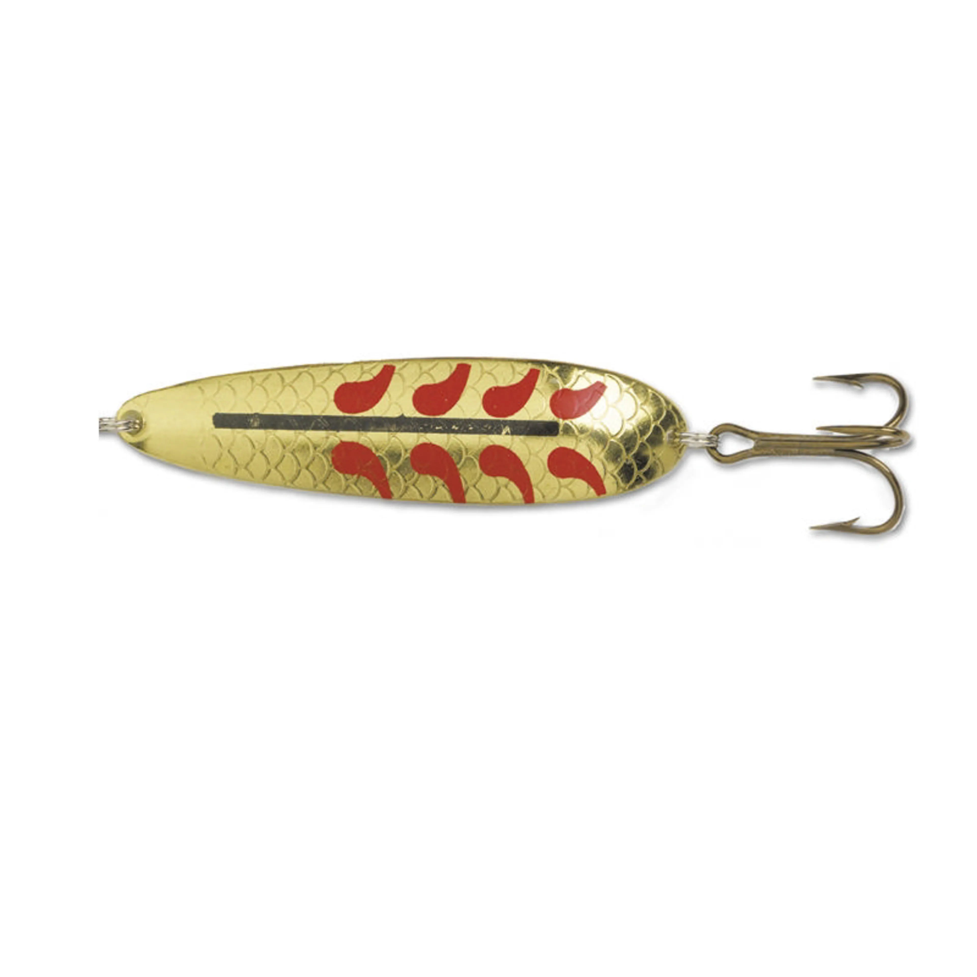 Salamander Allround