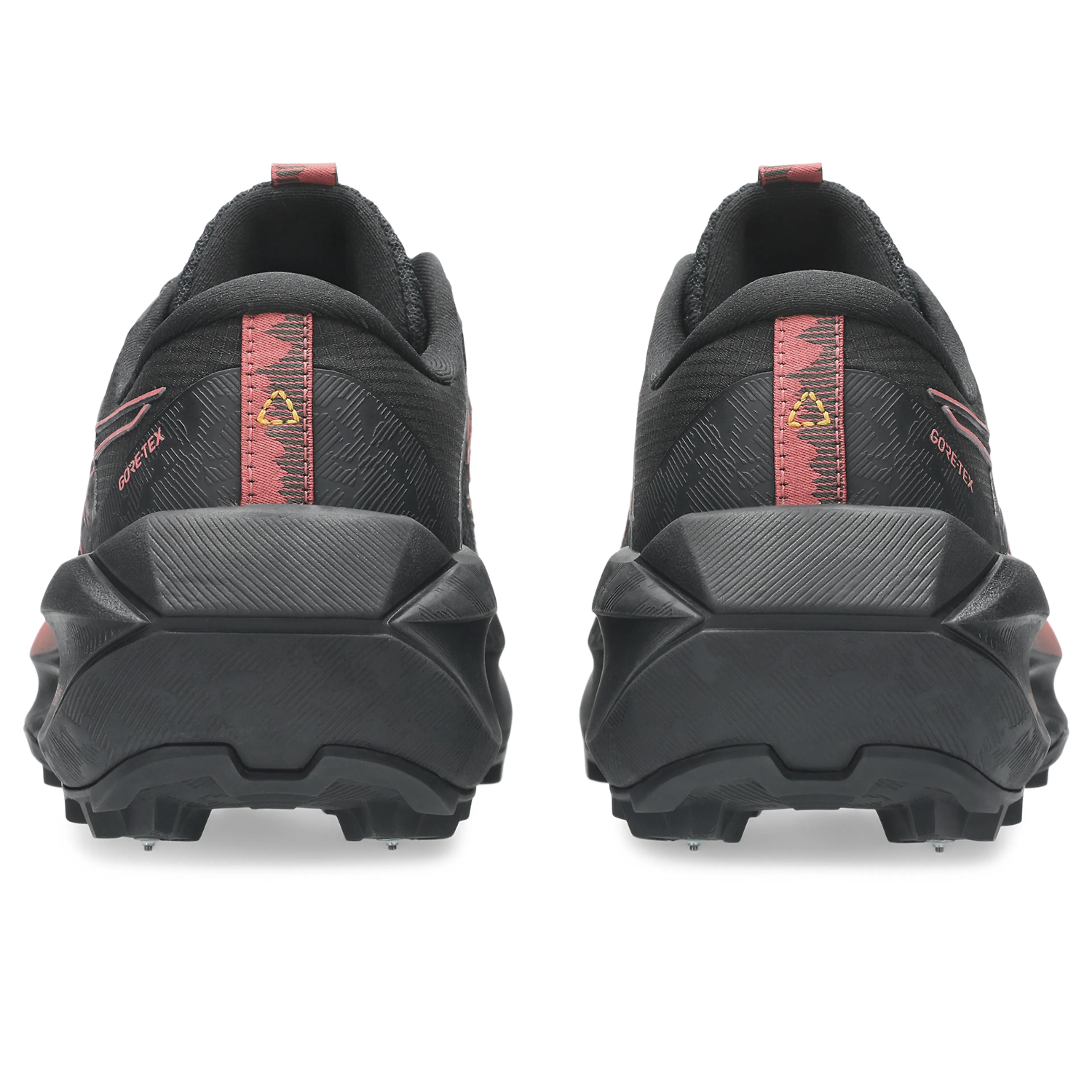 FUJISETSU MAX GTX