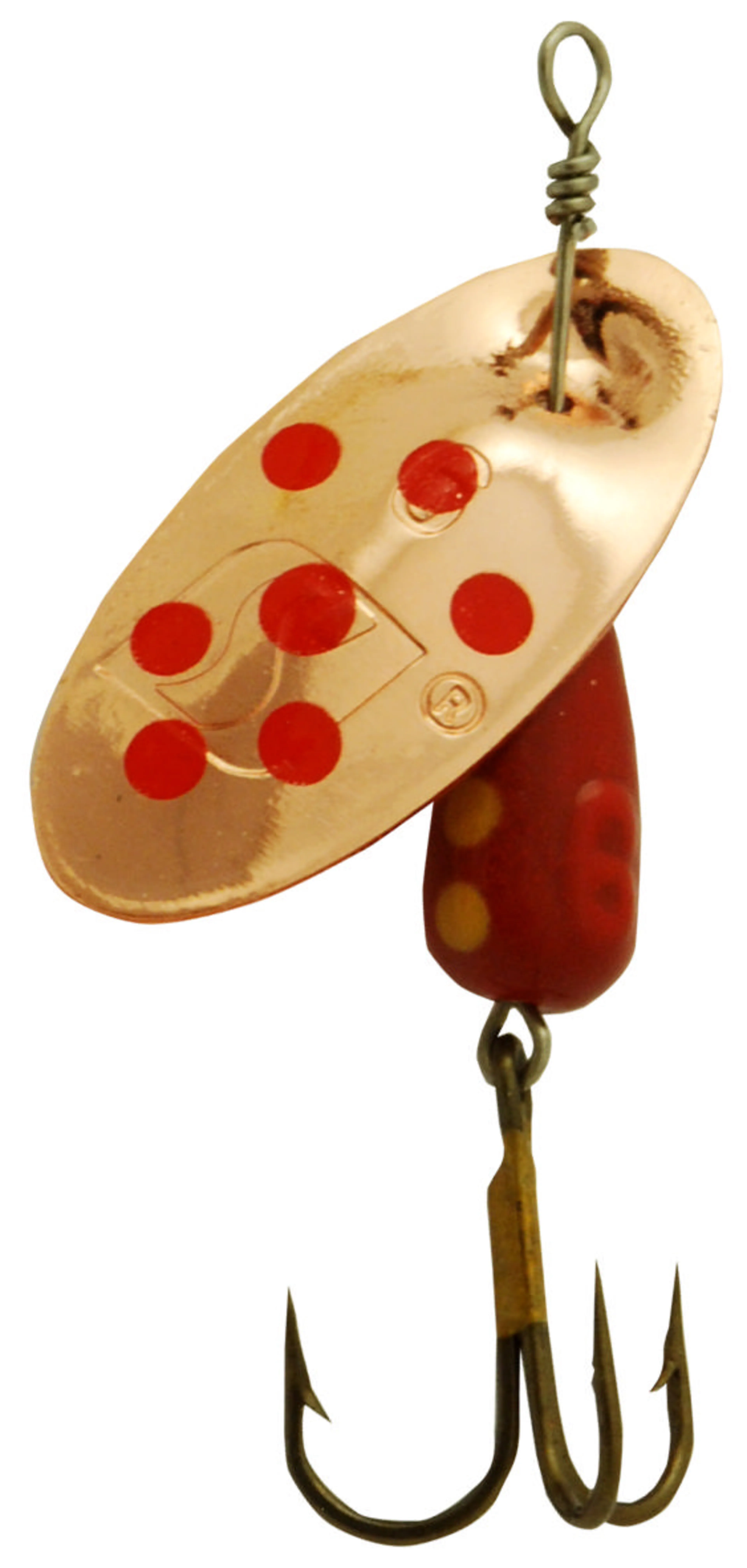 Spesial Spinner