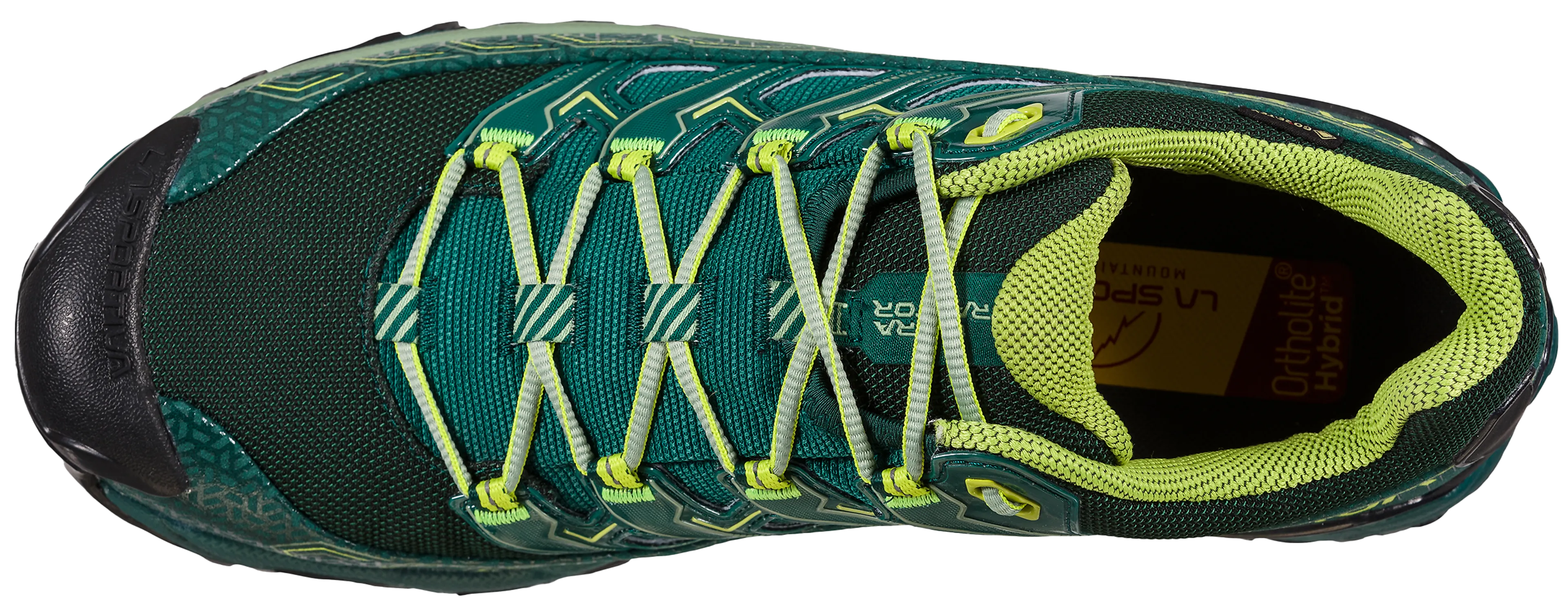 Ultra Raptor II GTX Hikingsko