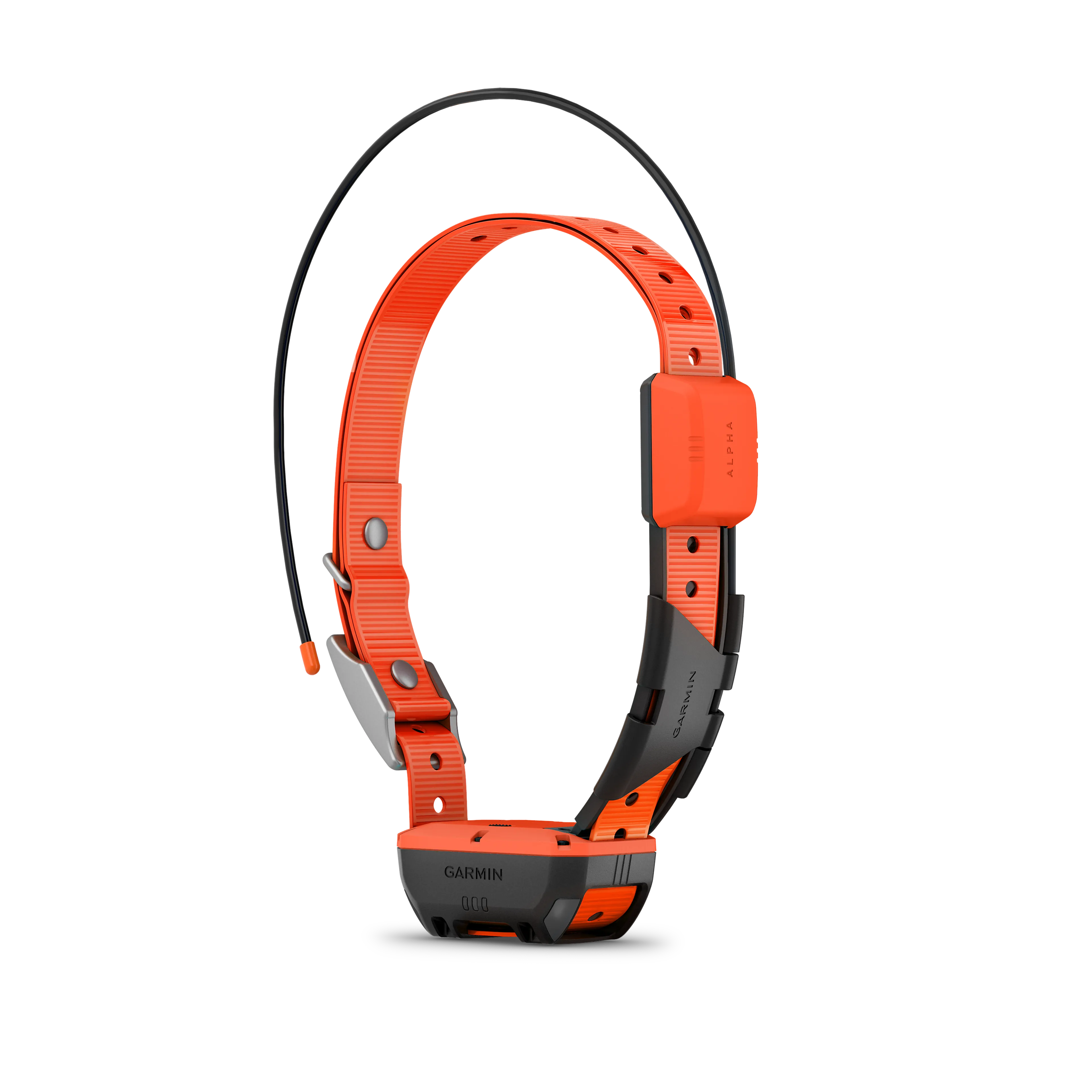 Alpha T20 GPS collar, Nordic