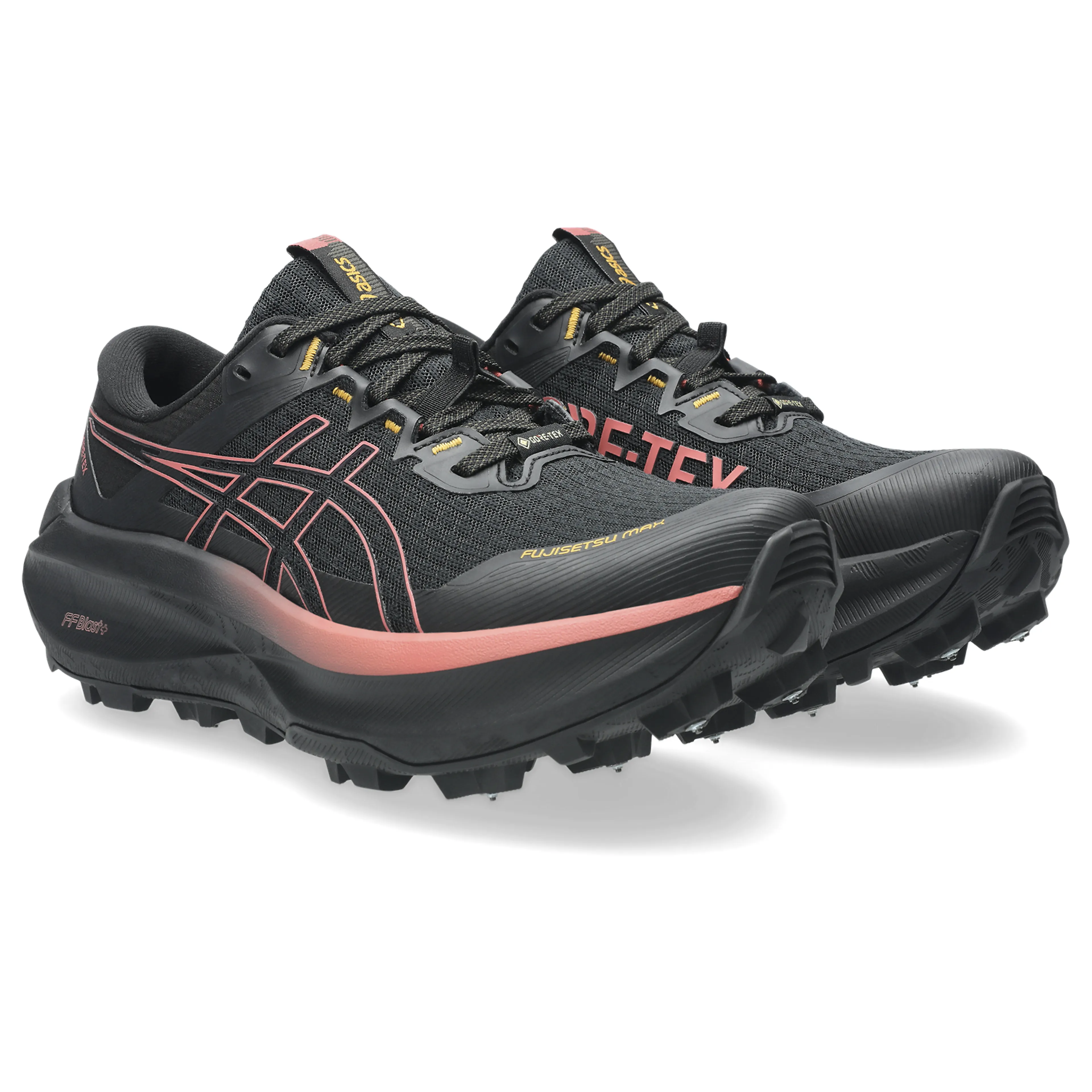 FUJISETSU MAX GTX