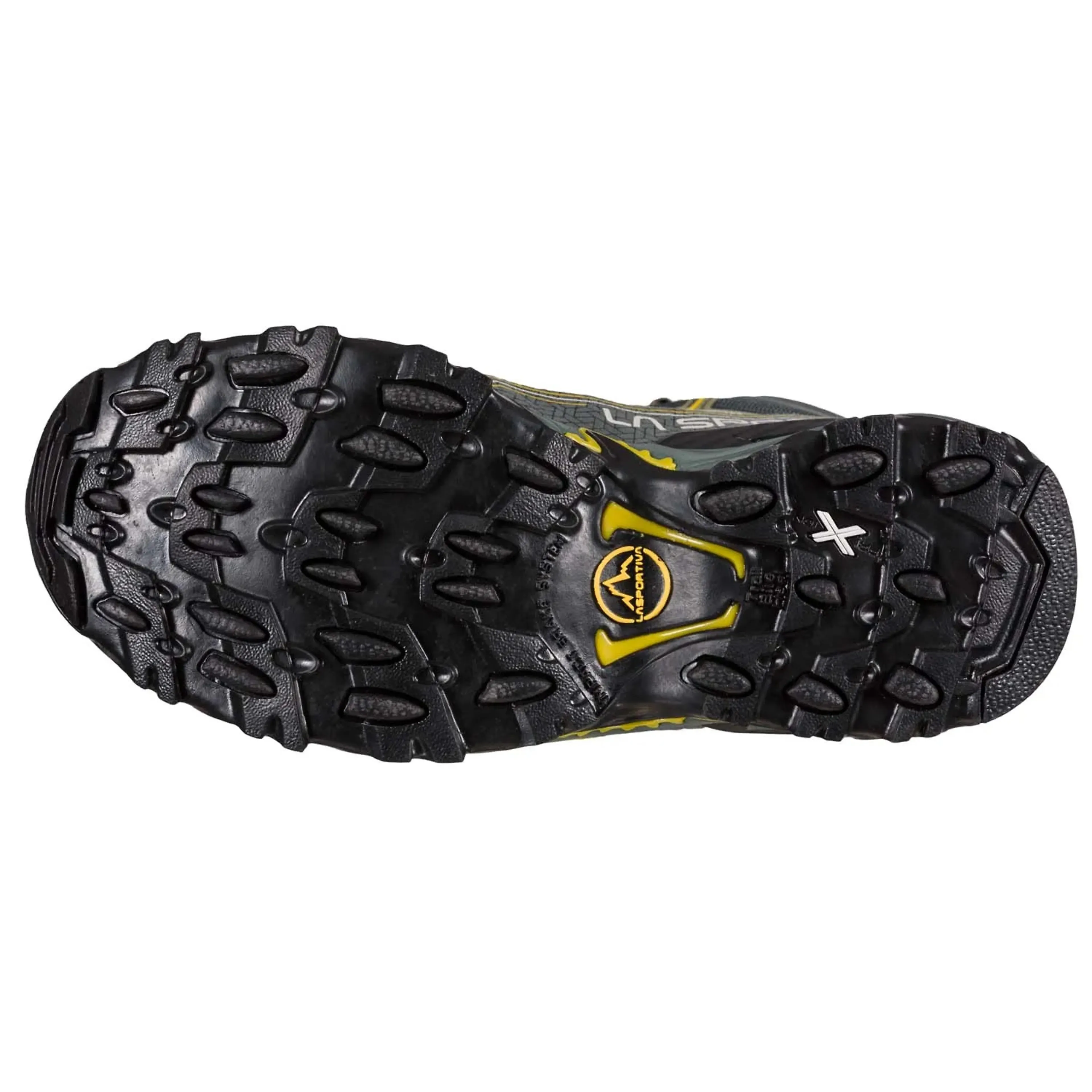Ultra Raptor II Mid GTX W's Hikingsko