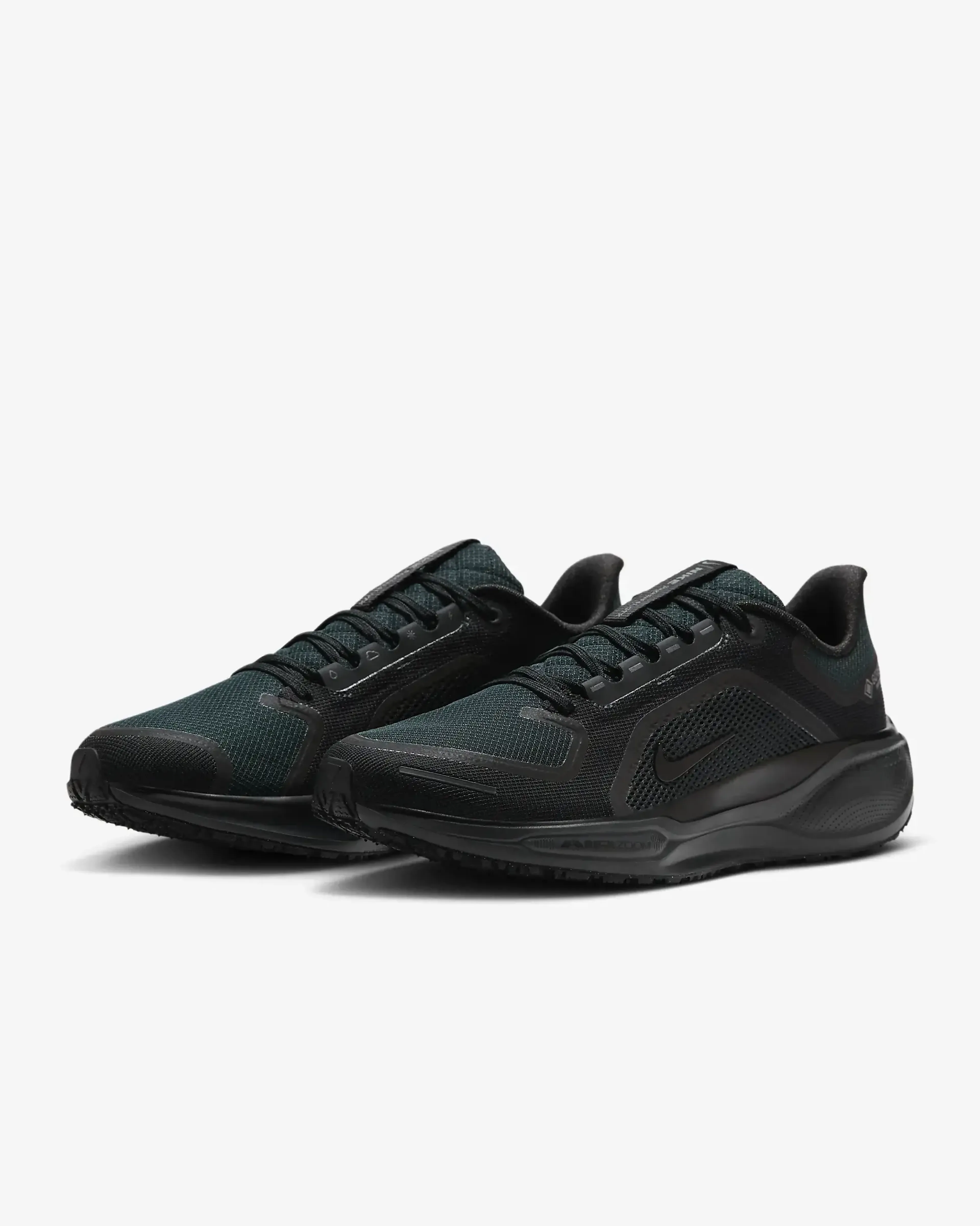 Air Zoom Pegasus 41 GTX