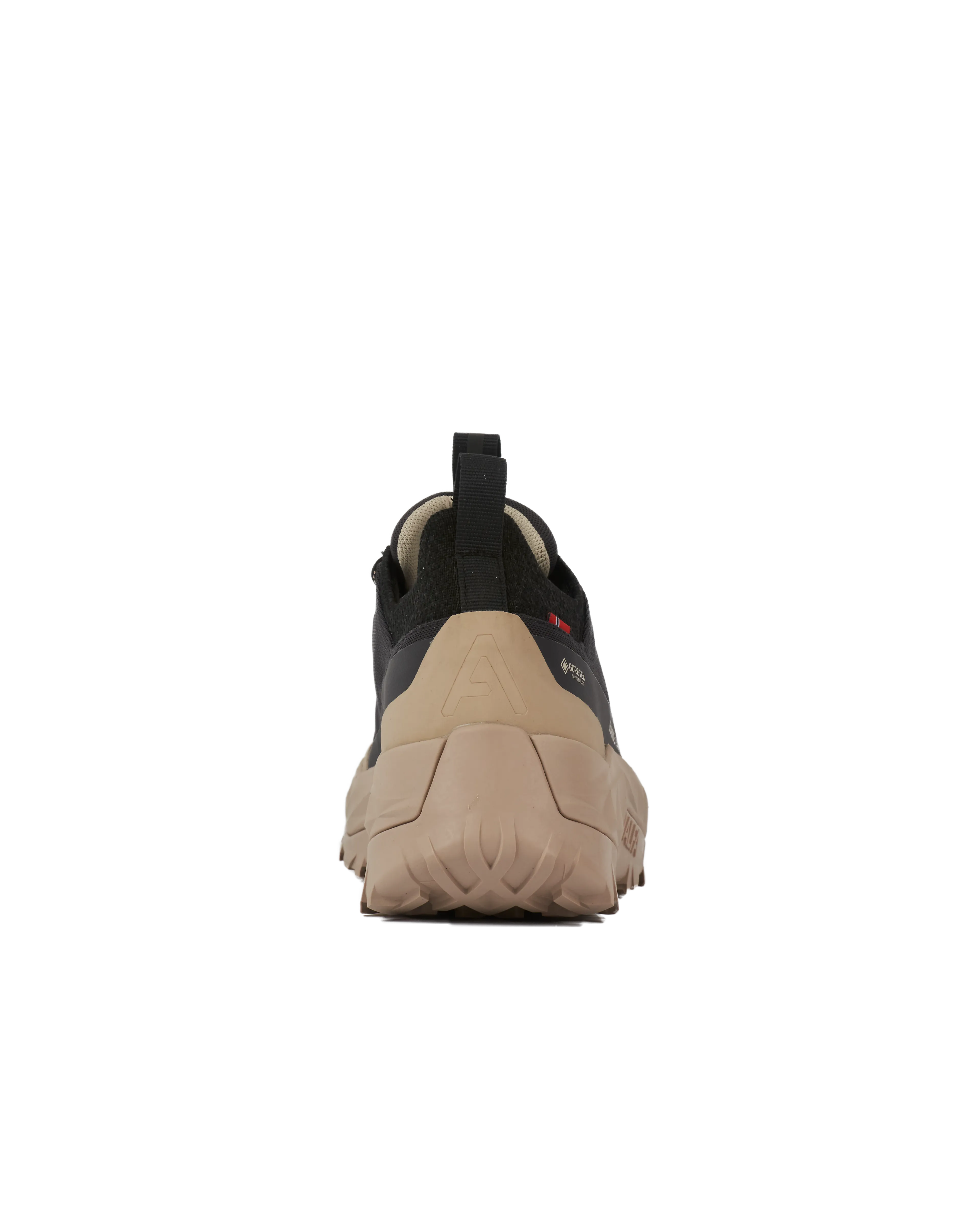 RABBE APS GTX W