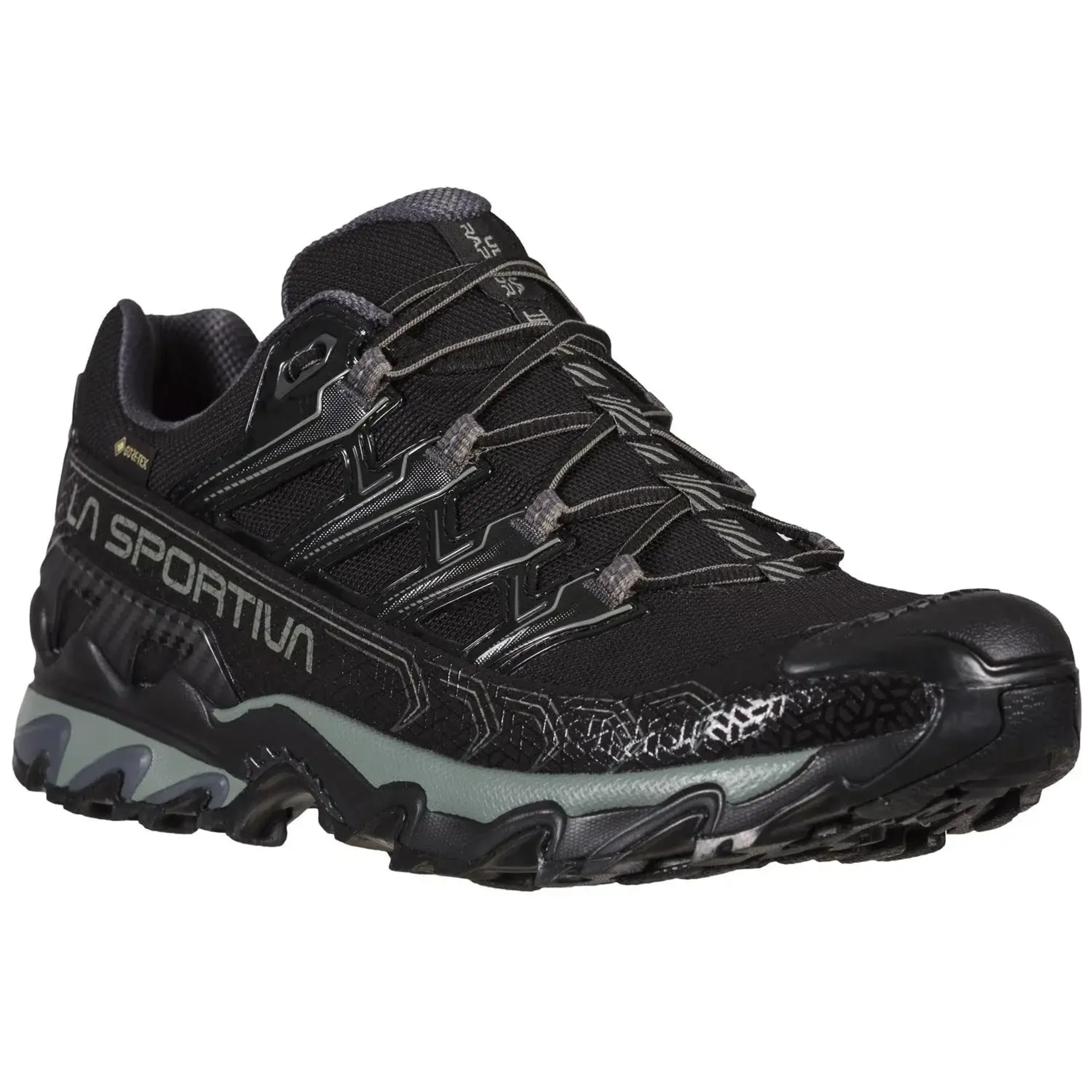 Ultra Raptor II GTX Hikingsko