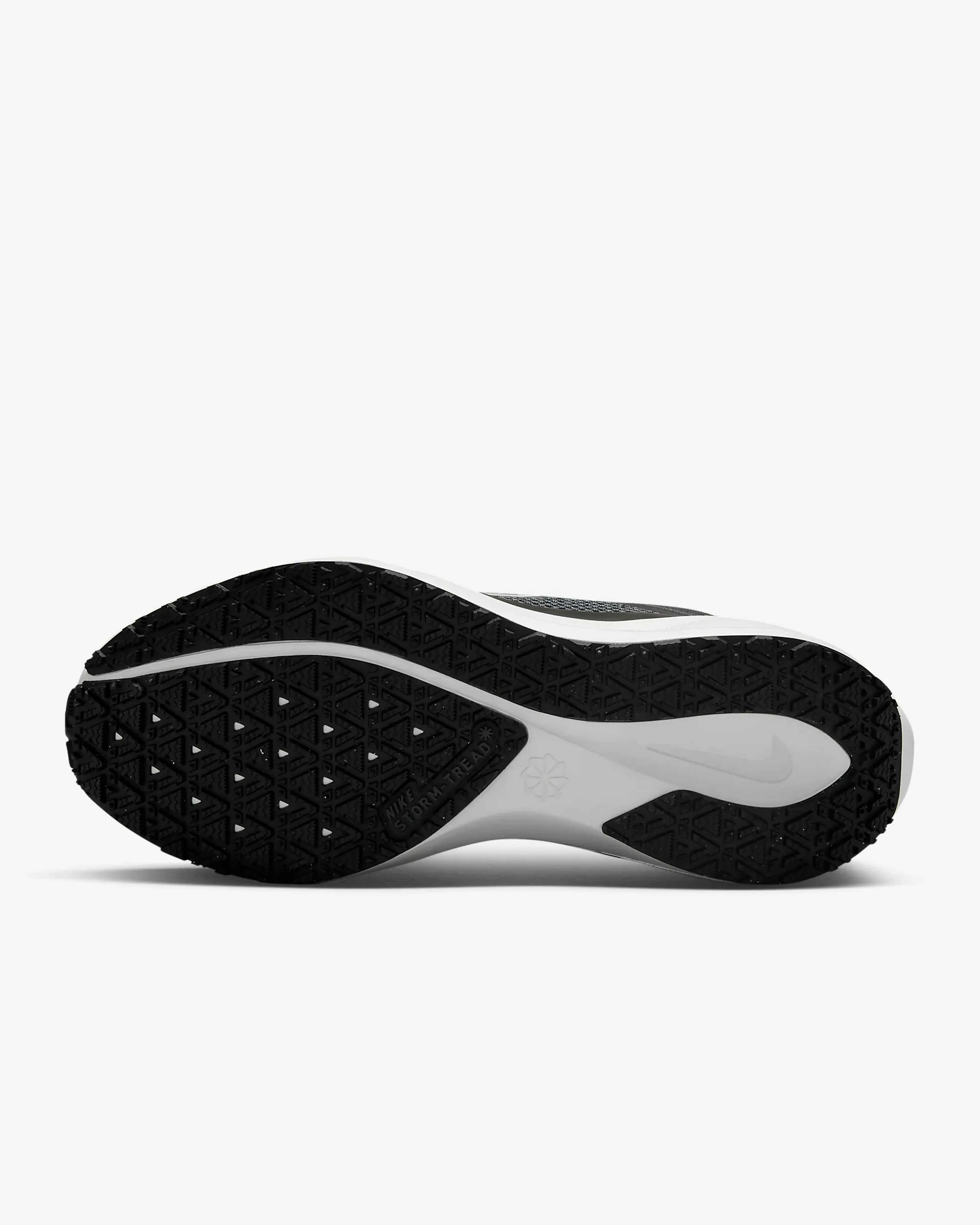 Pegasus 41 GORE-TEX