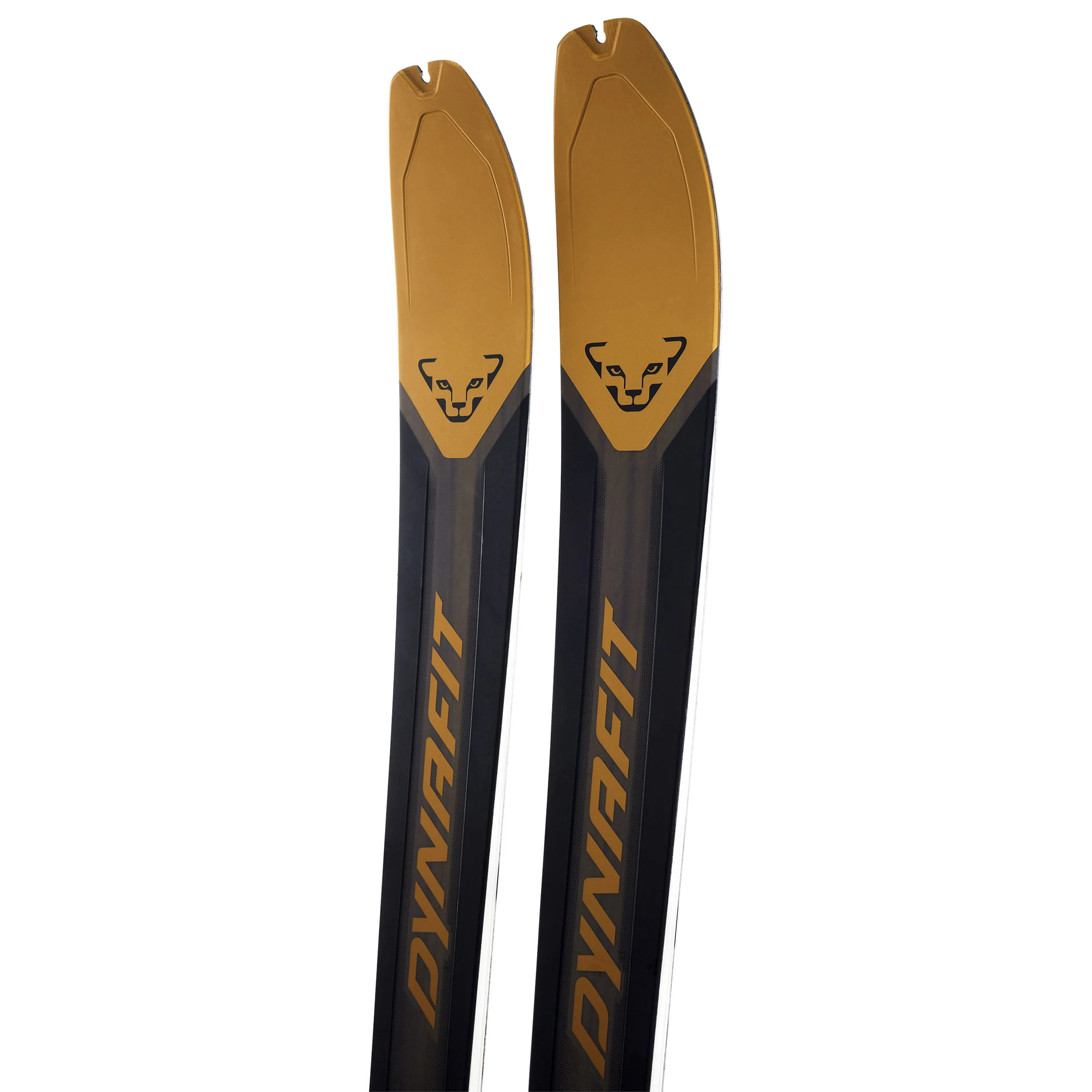 Ridge 95 Ski