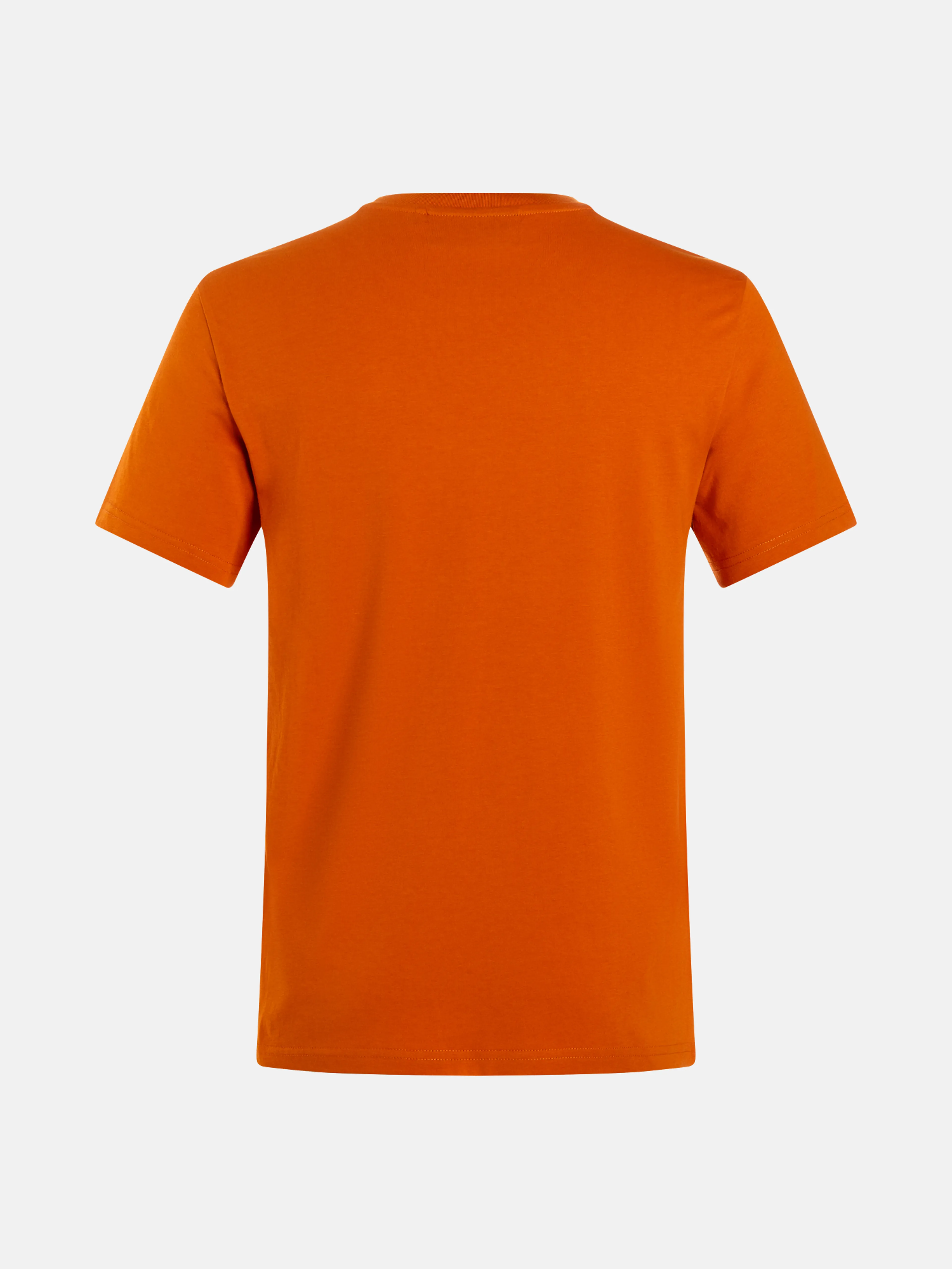 Big Logo t-skjorte herre