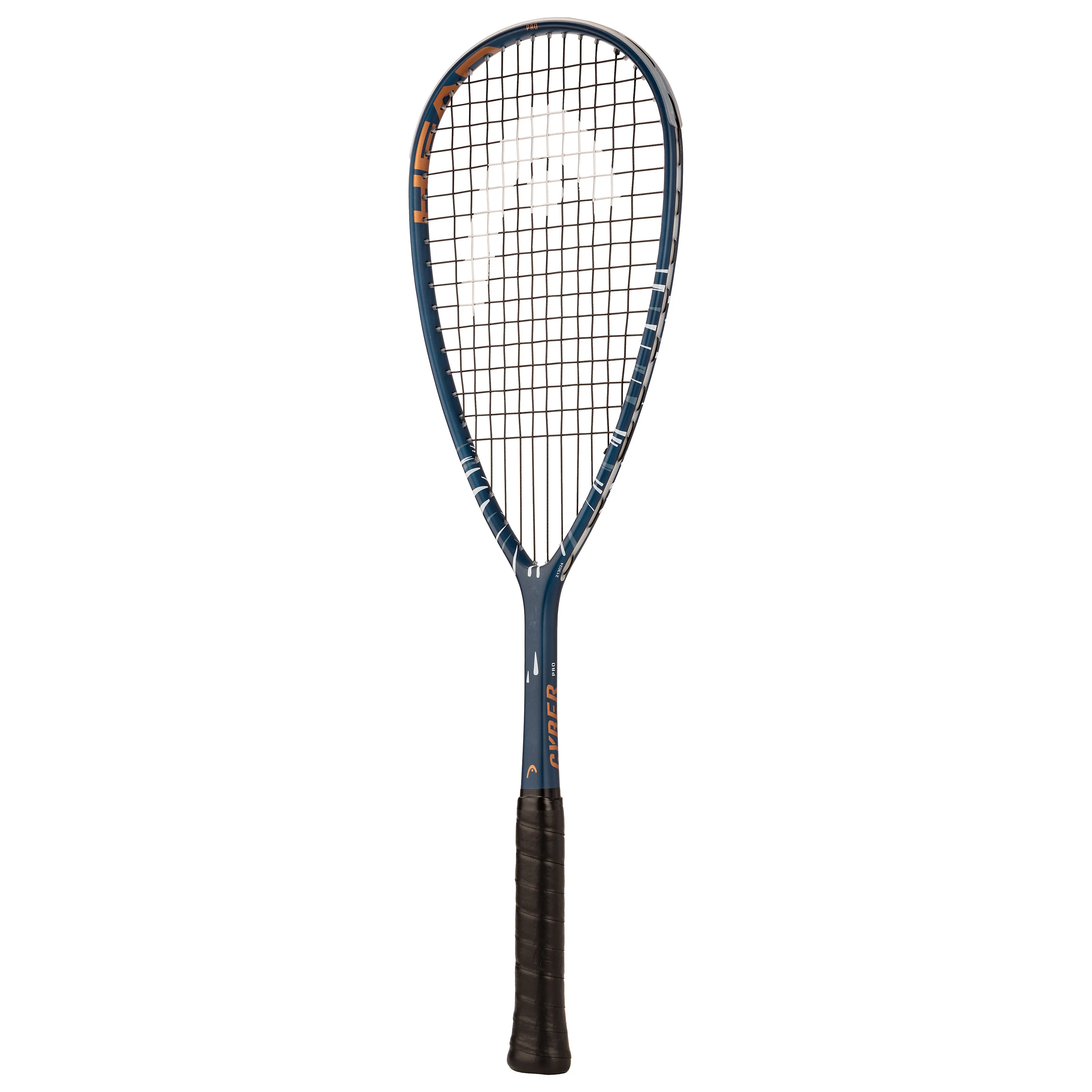 Cyber Pro 2024 Cyber Pro 2024