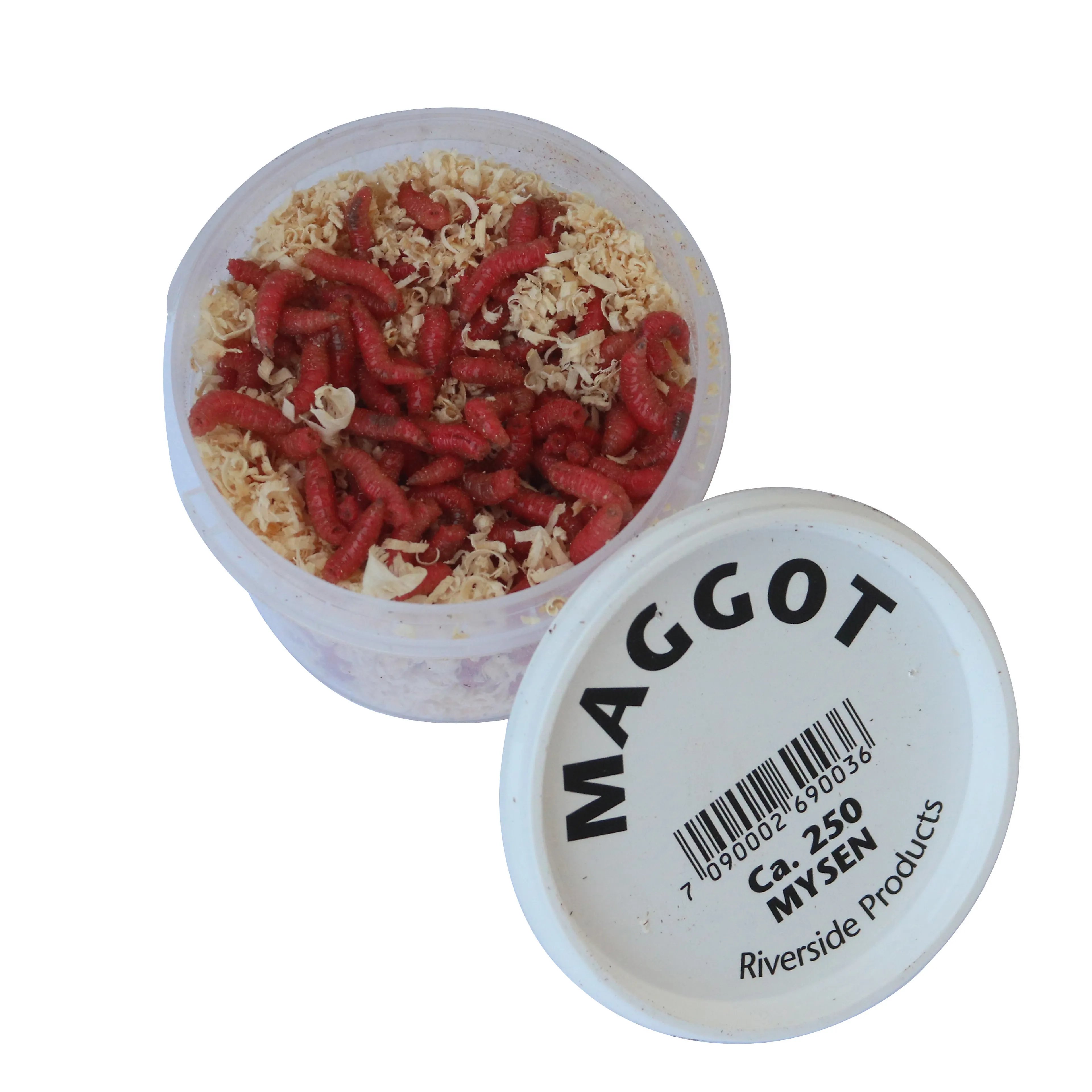 Maggot ca 250 stk