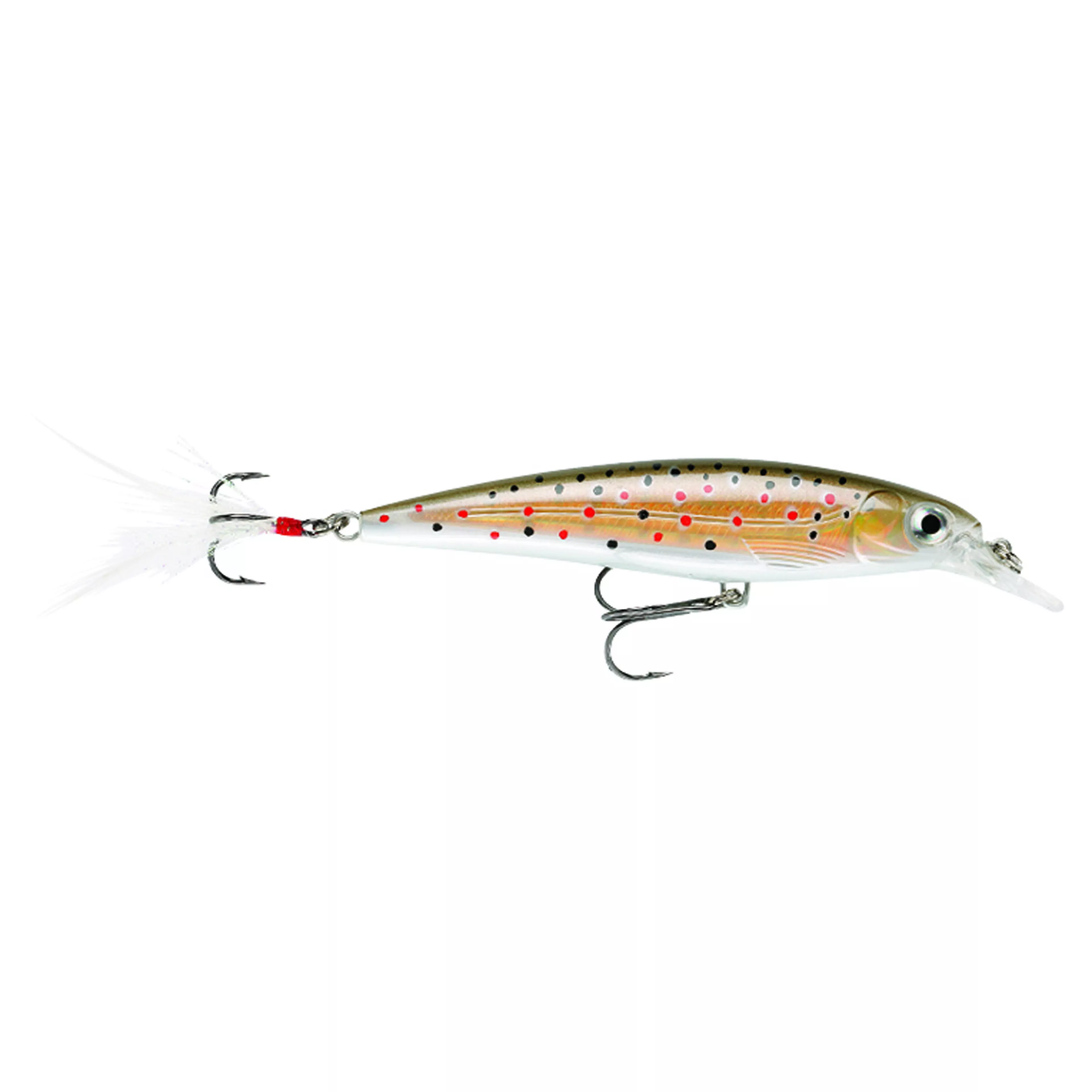X-RAP 8CM TR