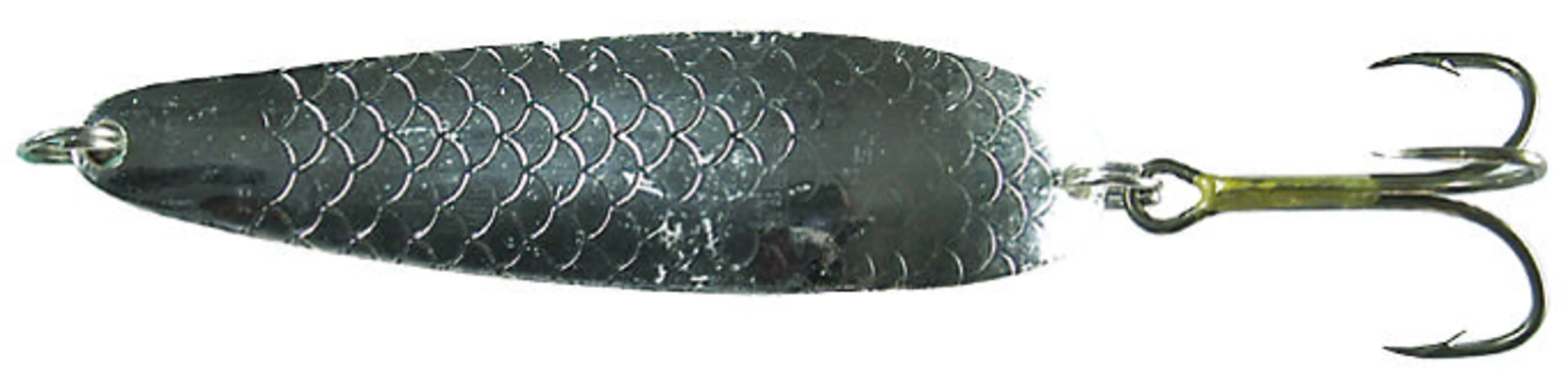 Salamander Allround