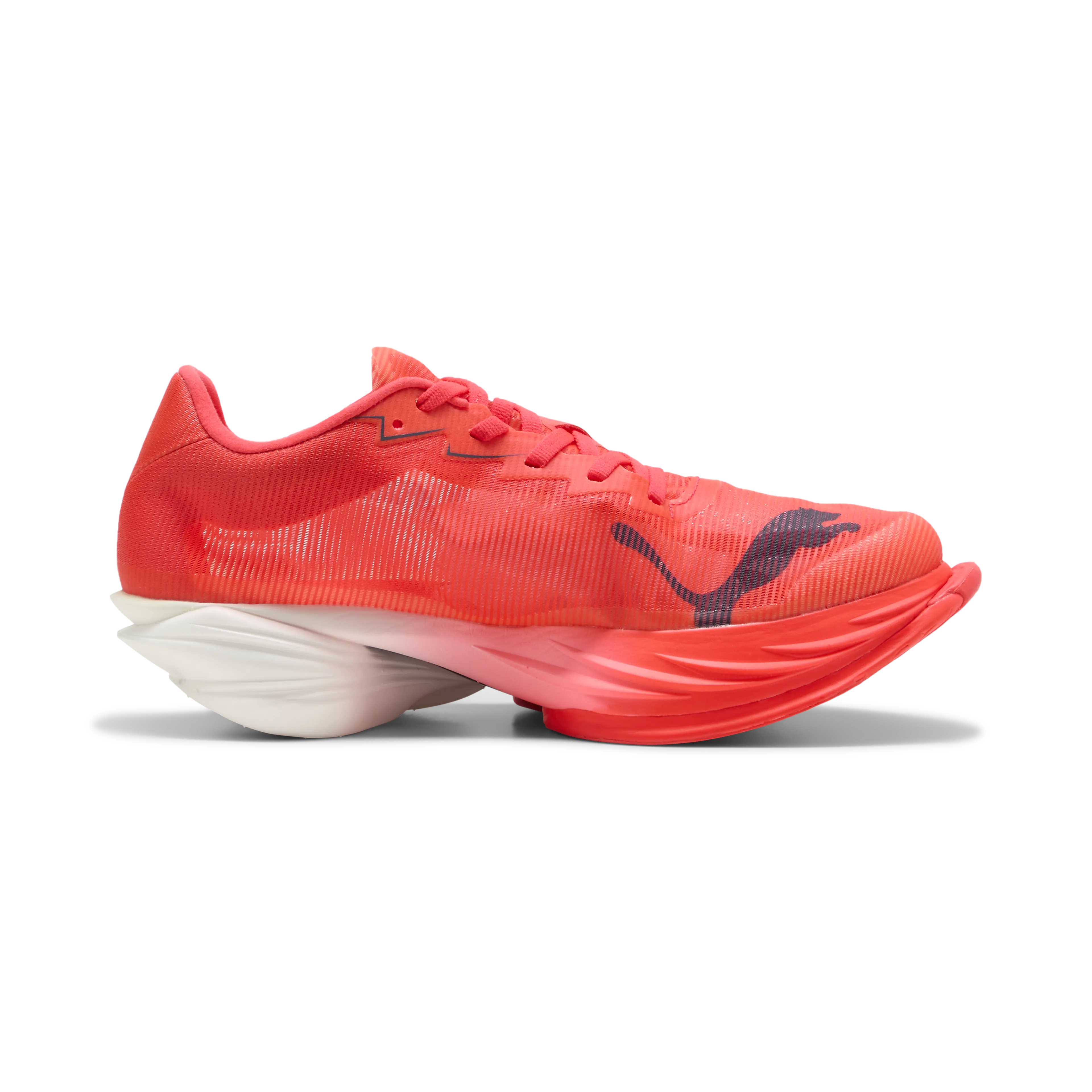 Fast-R Nitro Elite 3