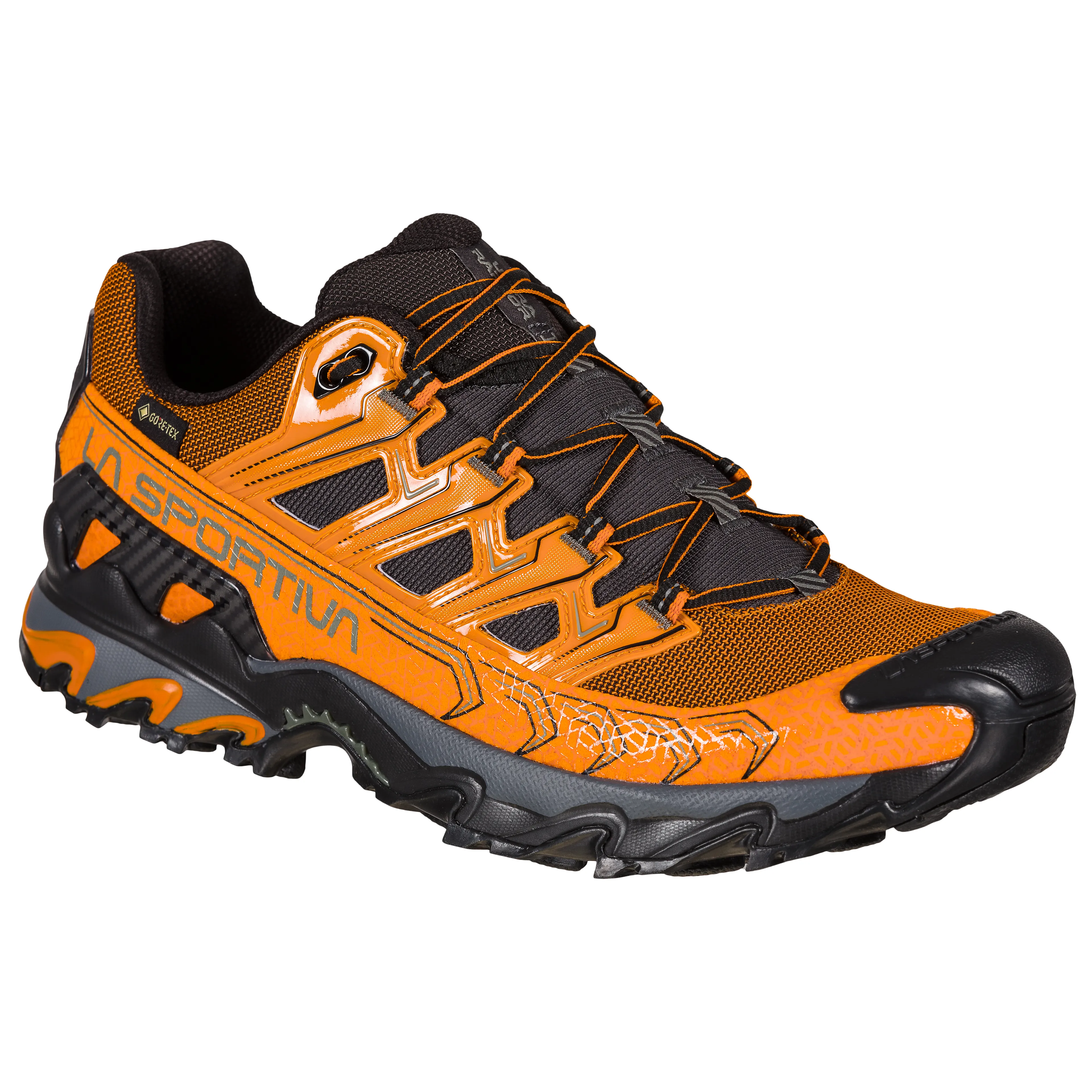 Ultra Raptor II GTX Hikingsko