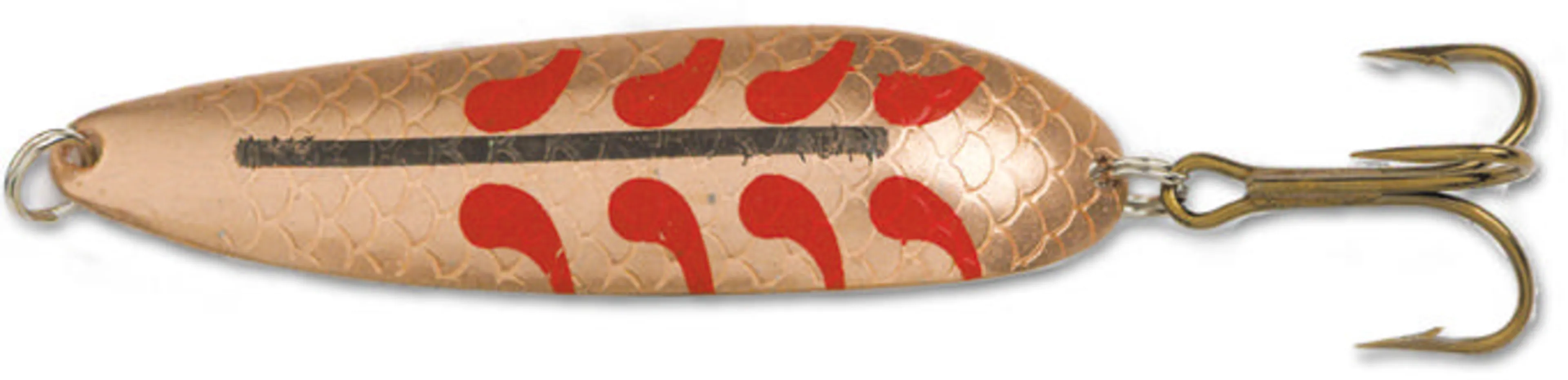 Salamander Allround