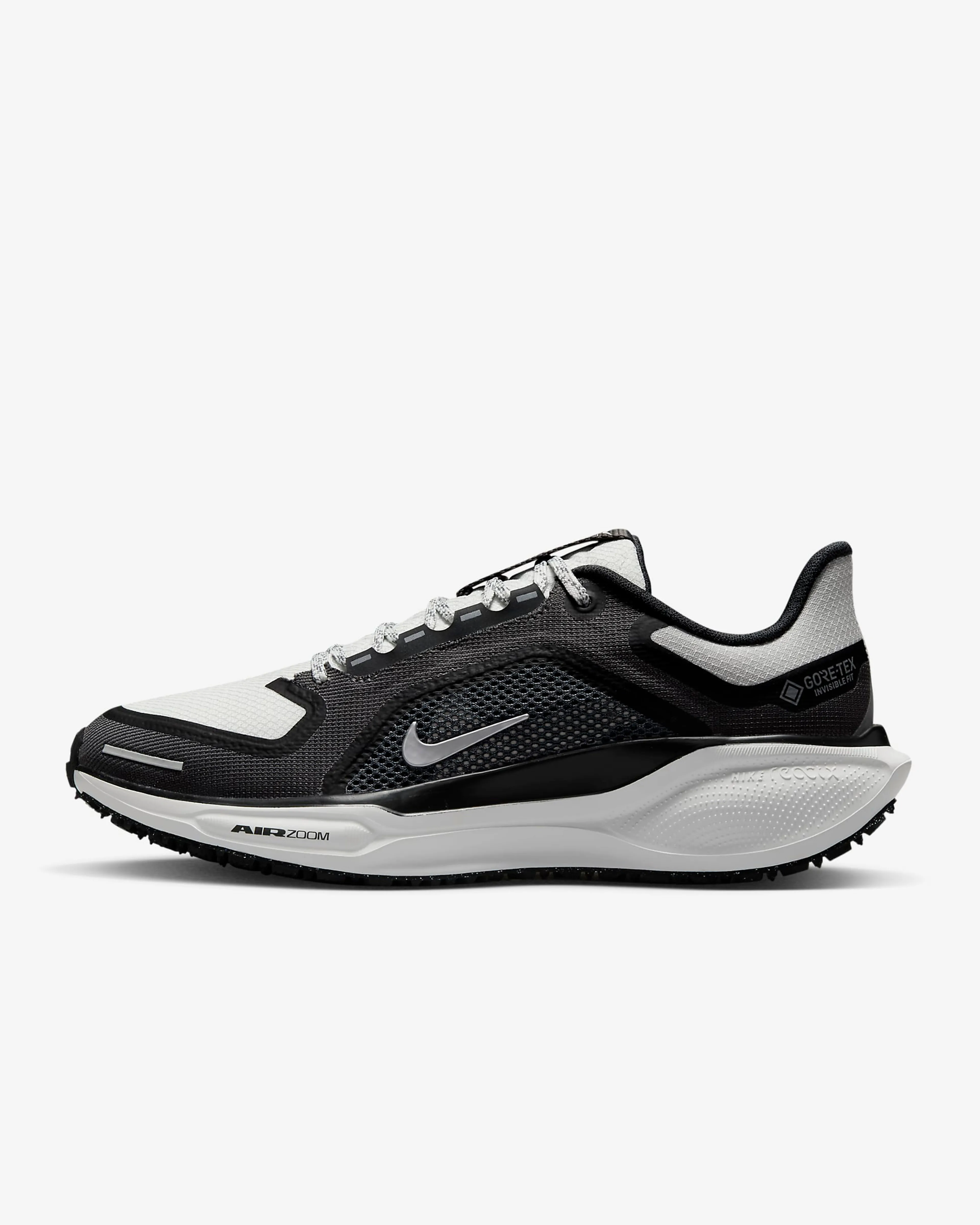 Pegasus 41 GORE-TEX