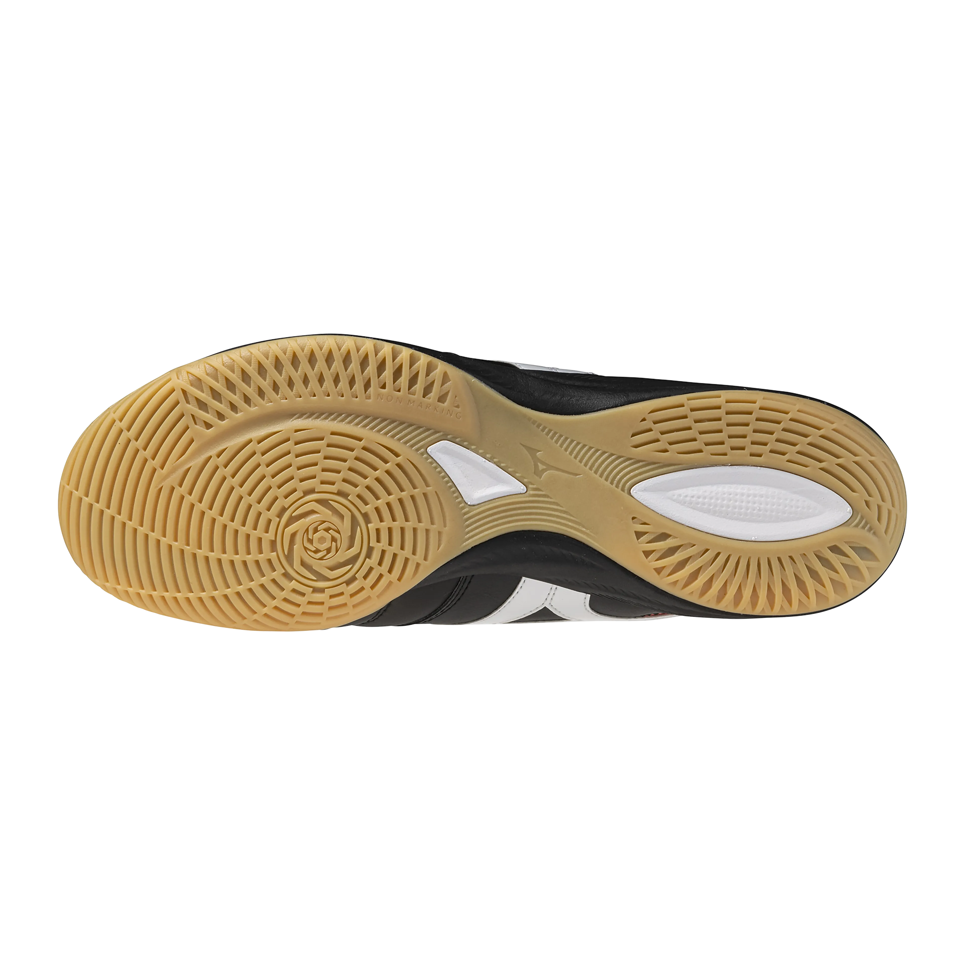MORELIA SALA PRO IN