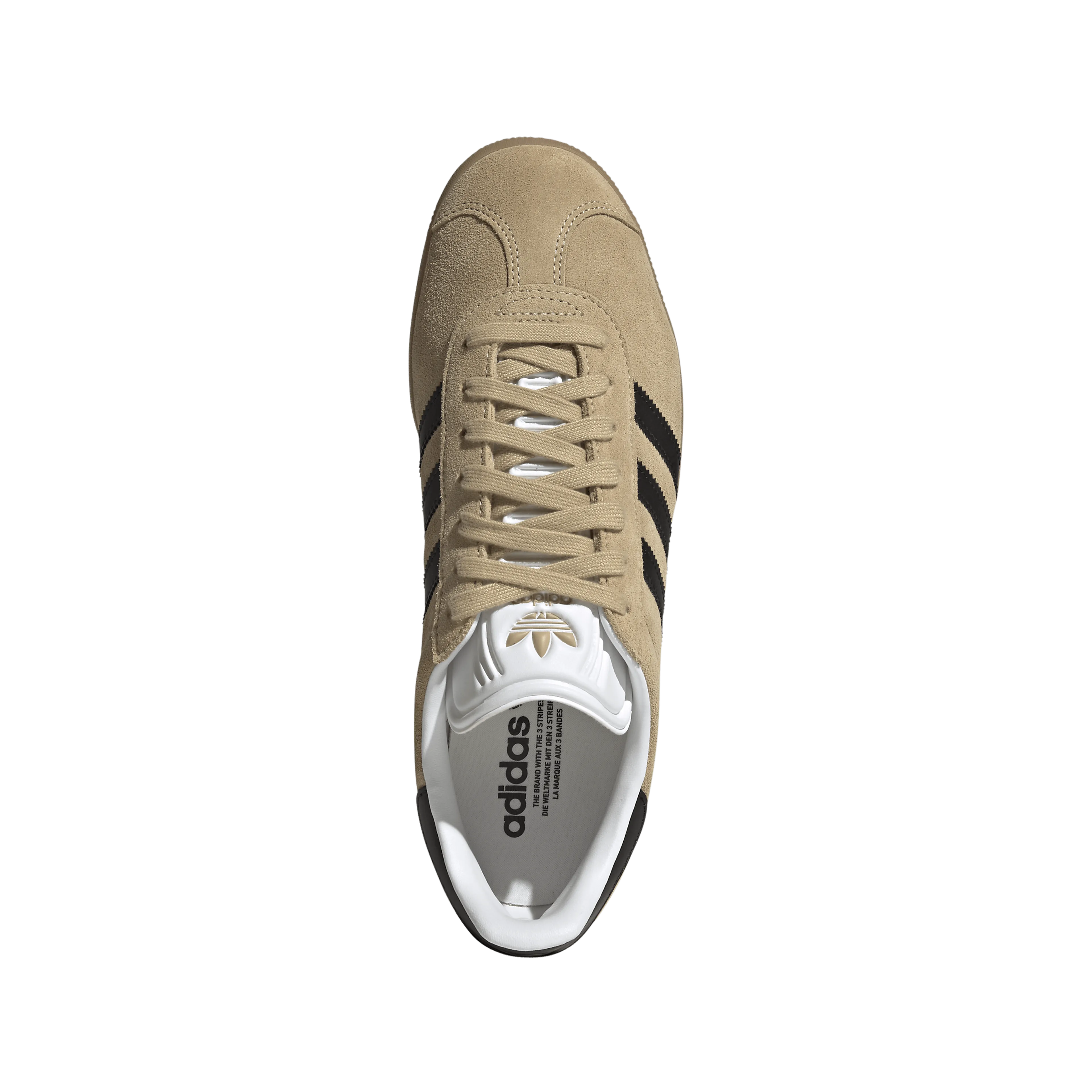 Gazelle