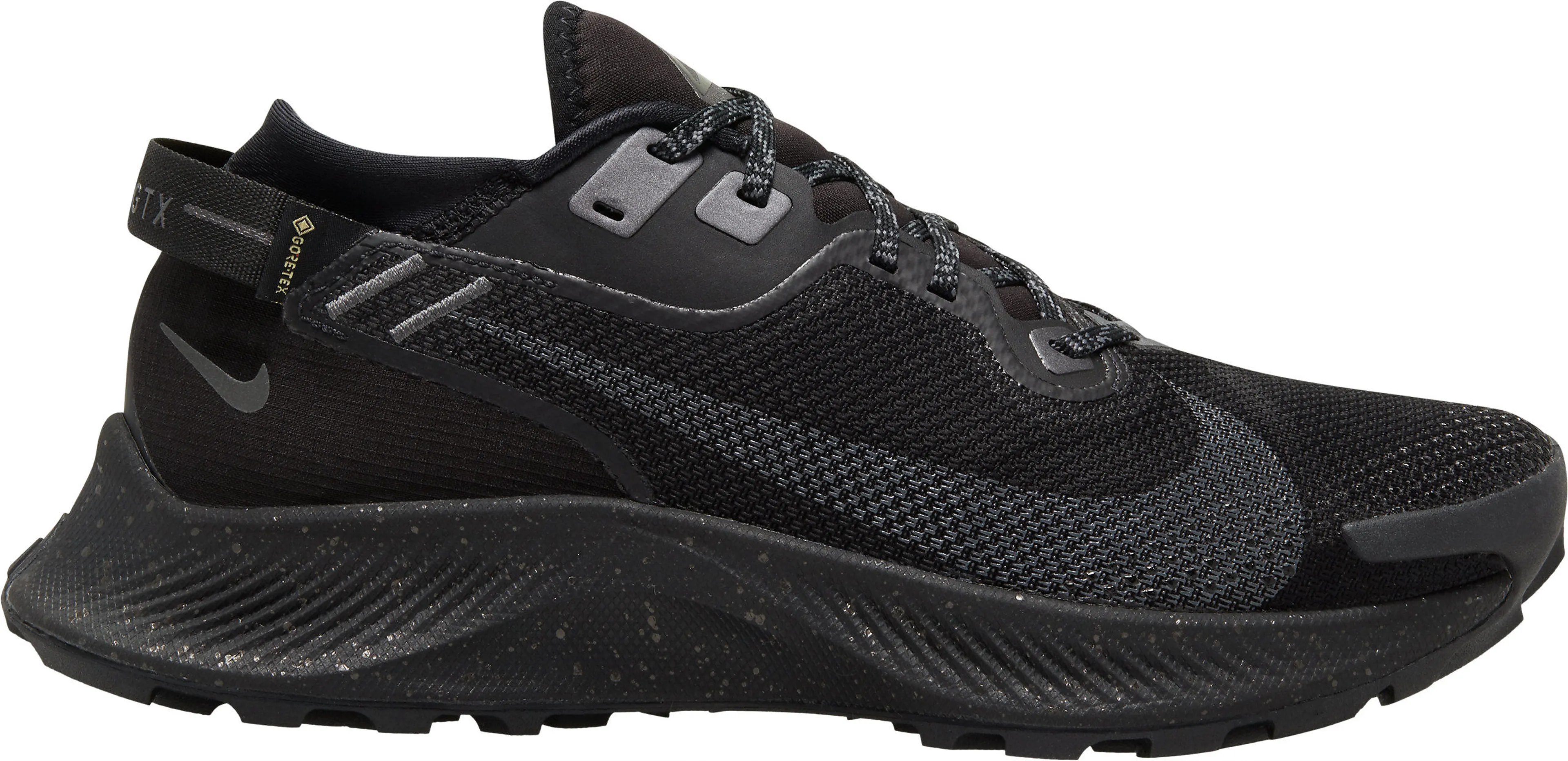 Pegasus Trail 2 GTX