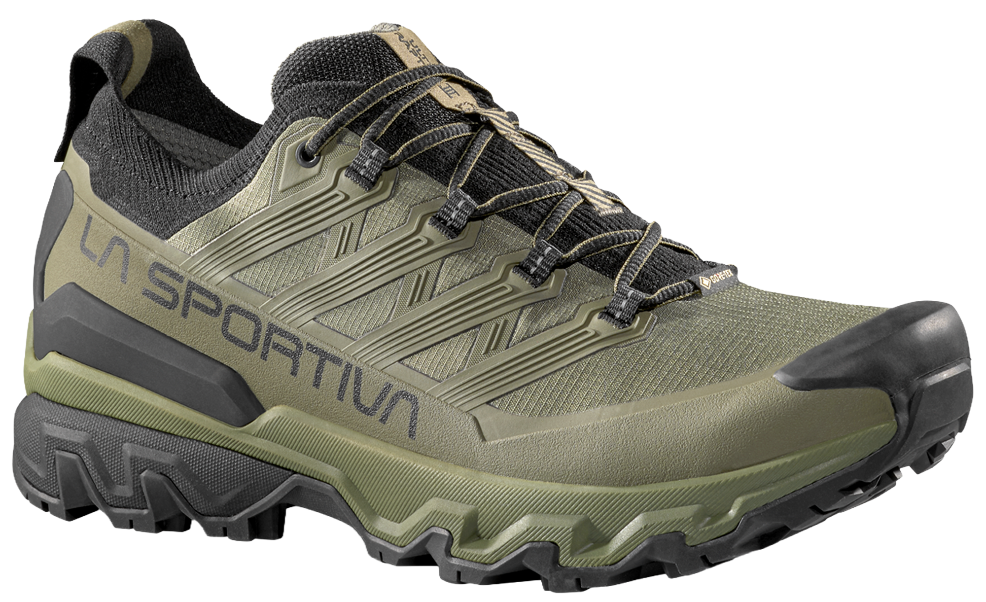 Ultra Raptor 3 GTX Hikingsko