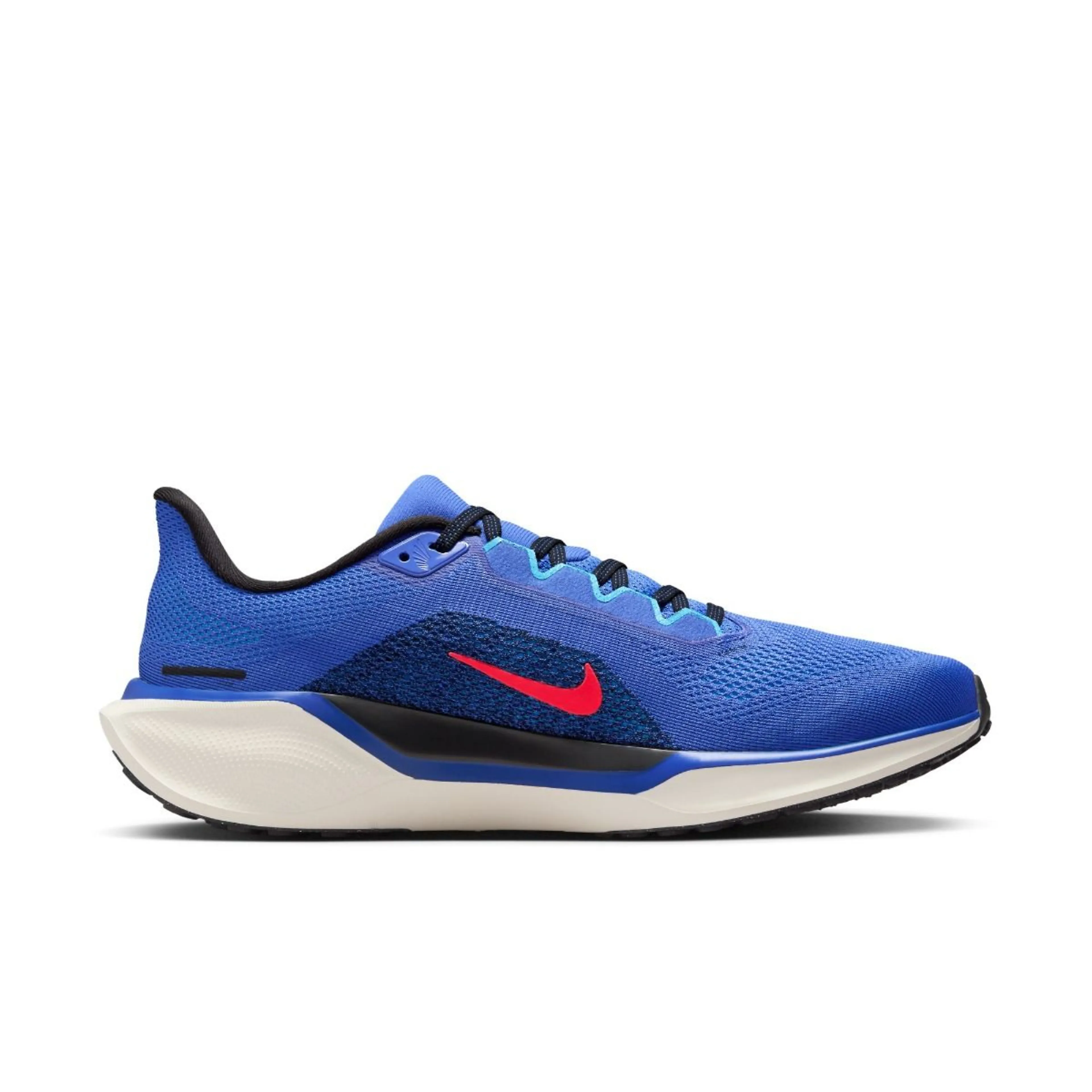  Pegasus 41