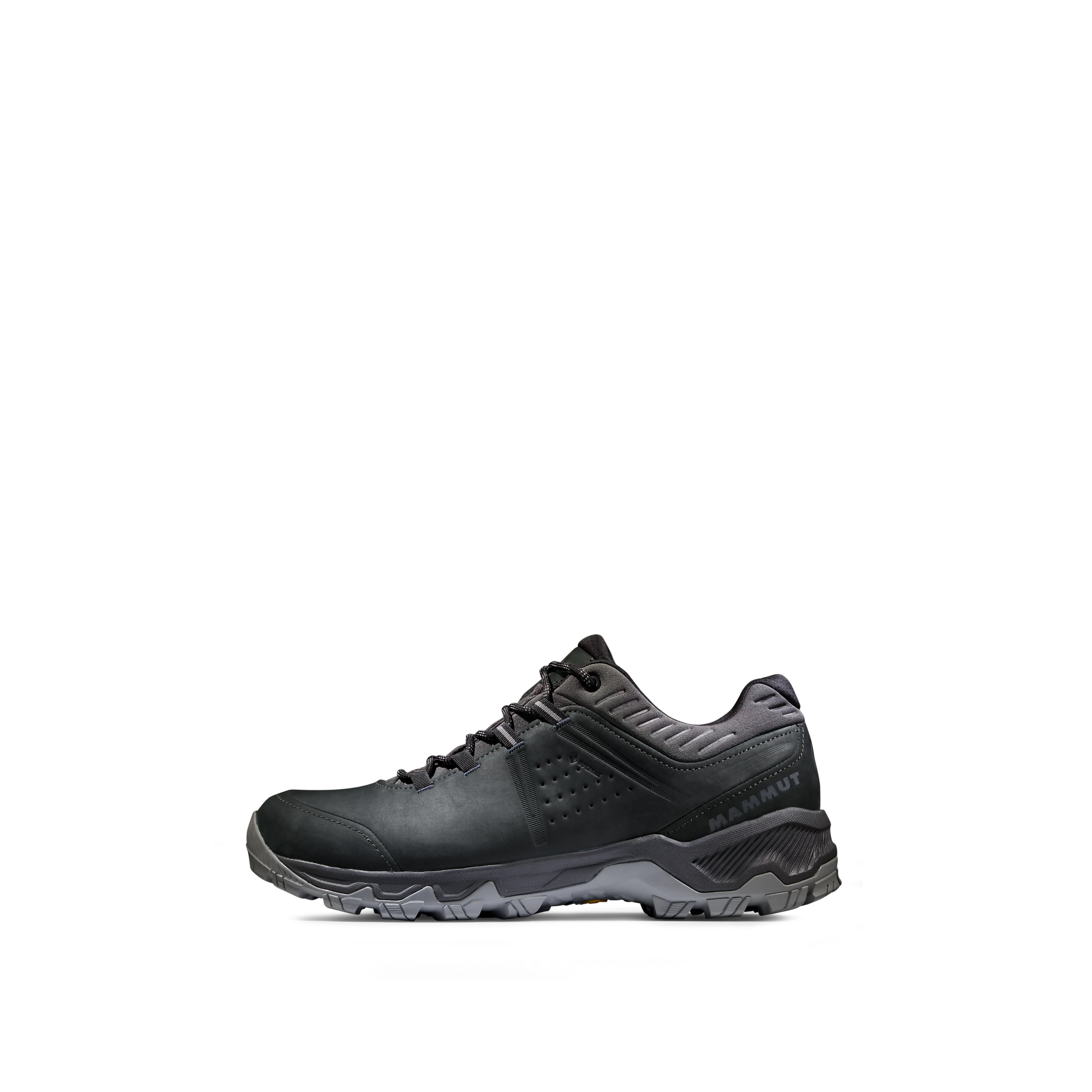 Mercury IV Low GTX Men