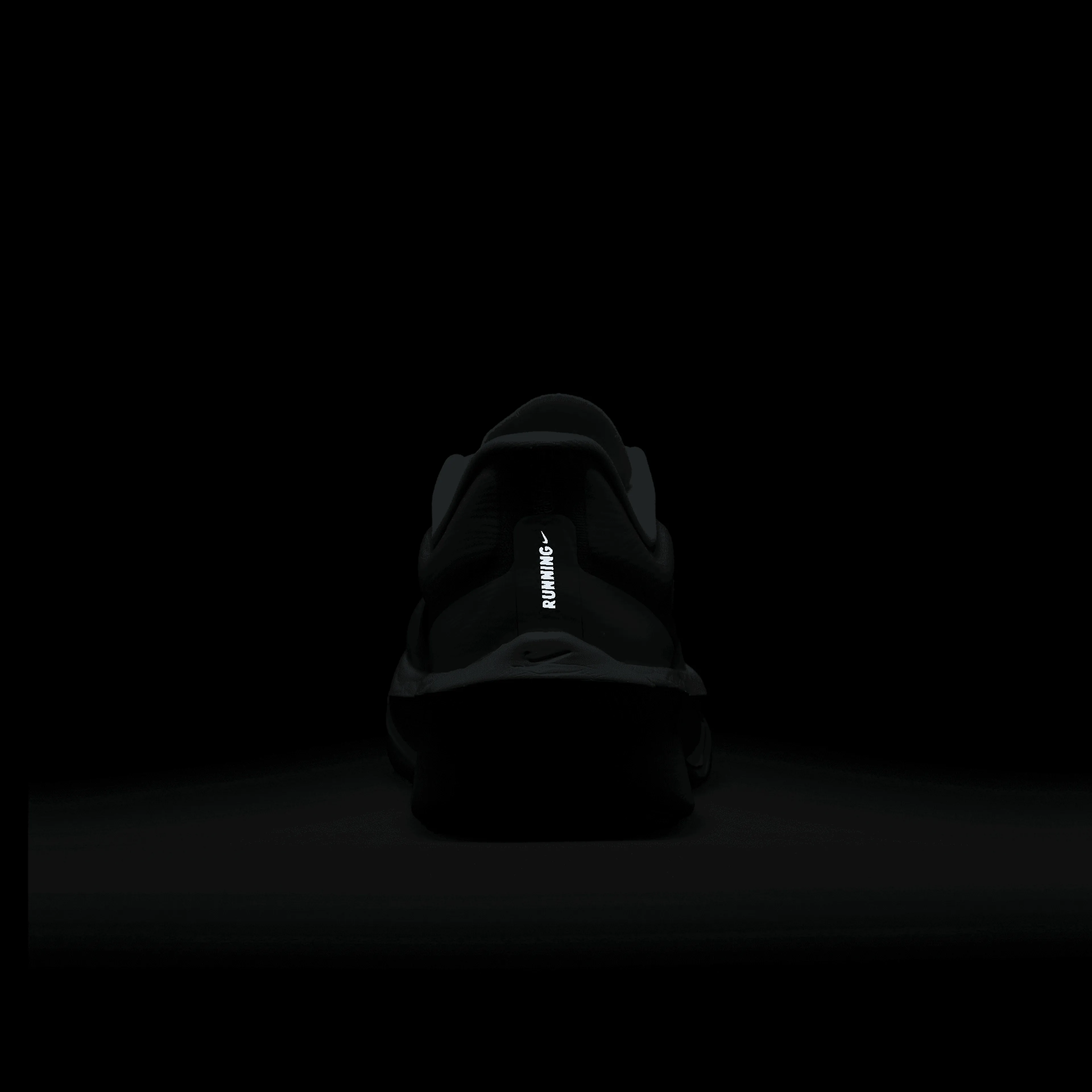 Zoom Fly 6