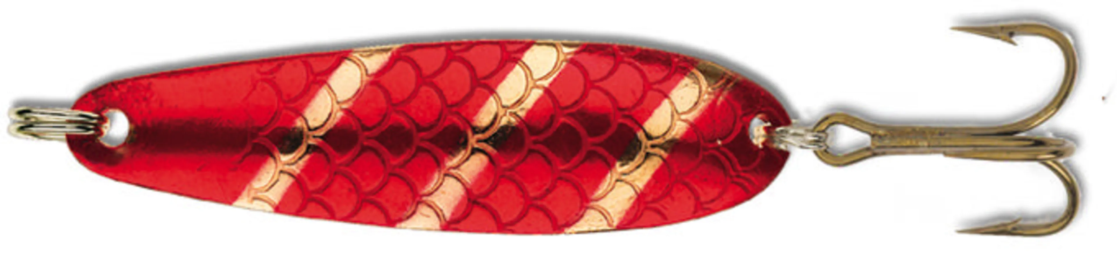 Salamander Allround
