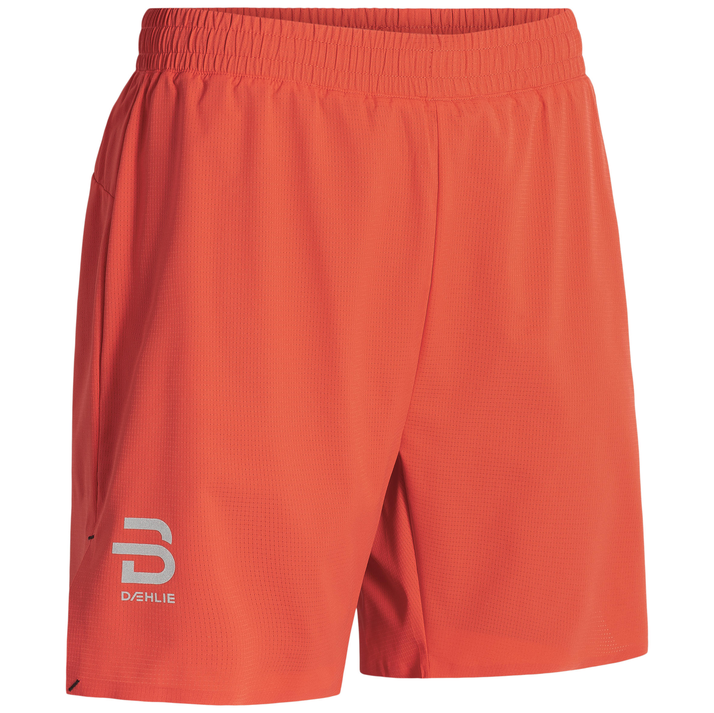 Dæhlie Shorts Run 365