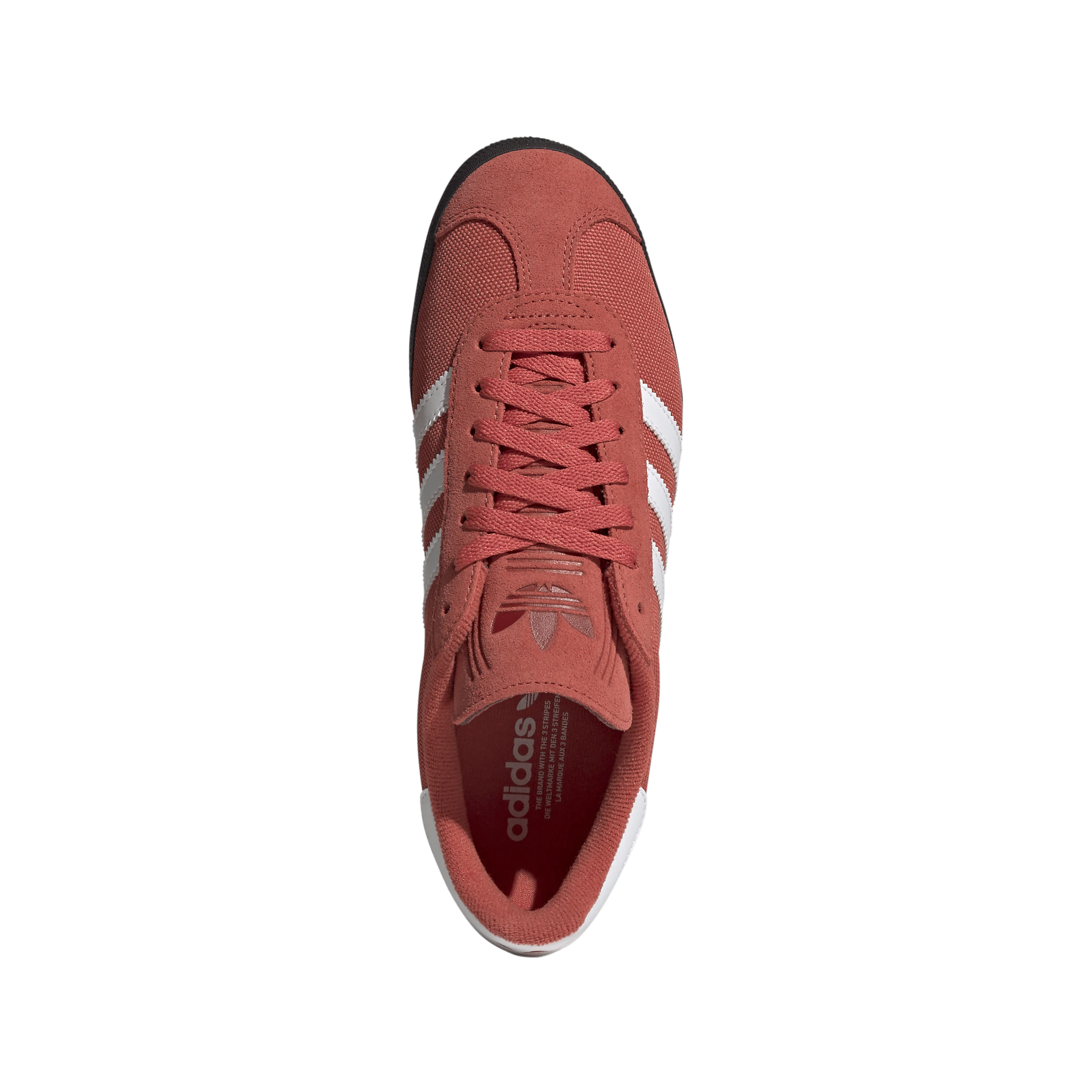 Gazelle