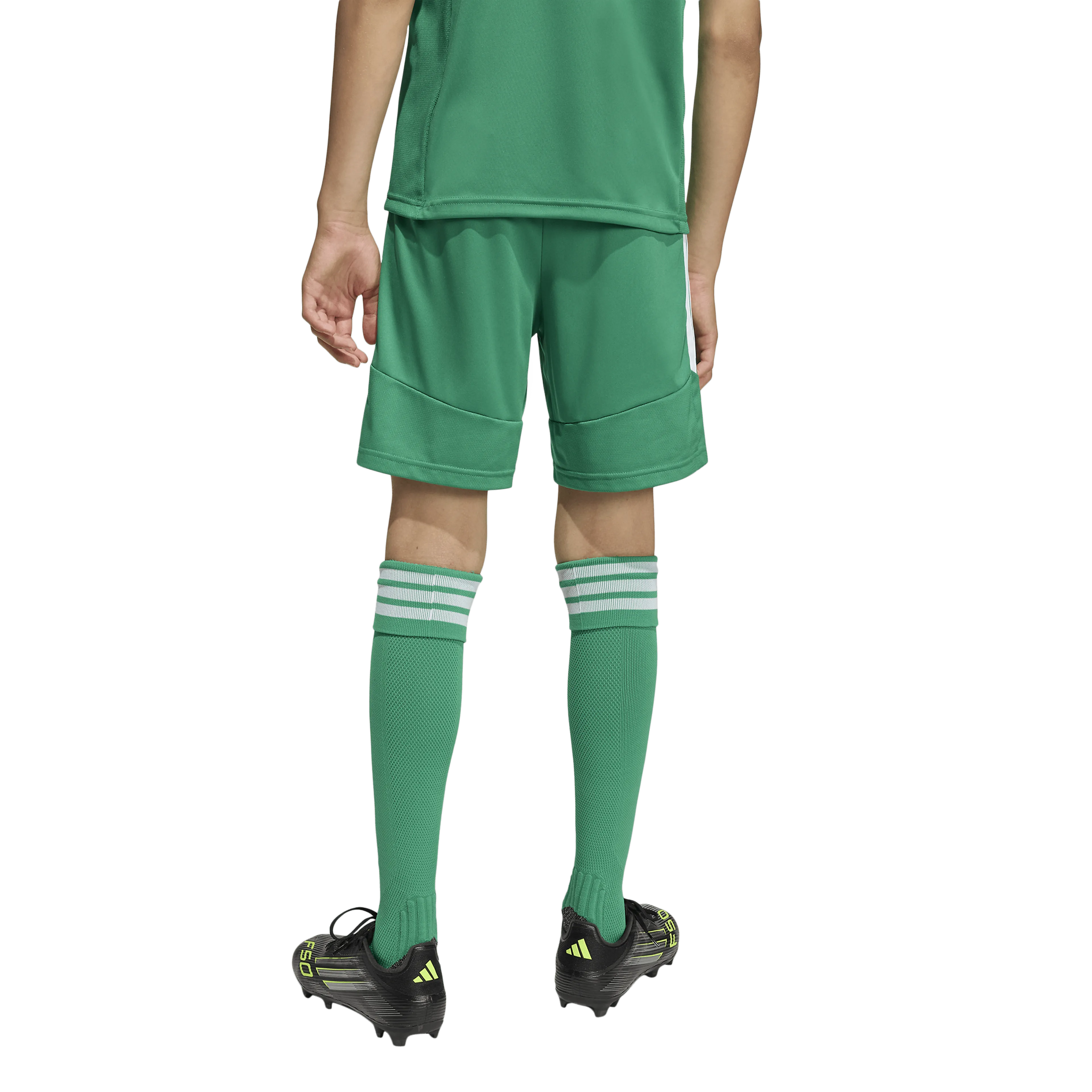 Tiro26 League Kids Shorts 