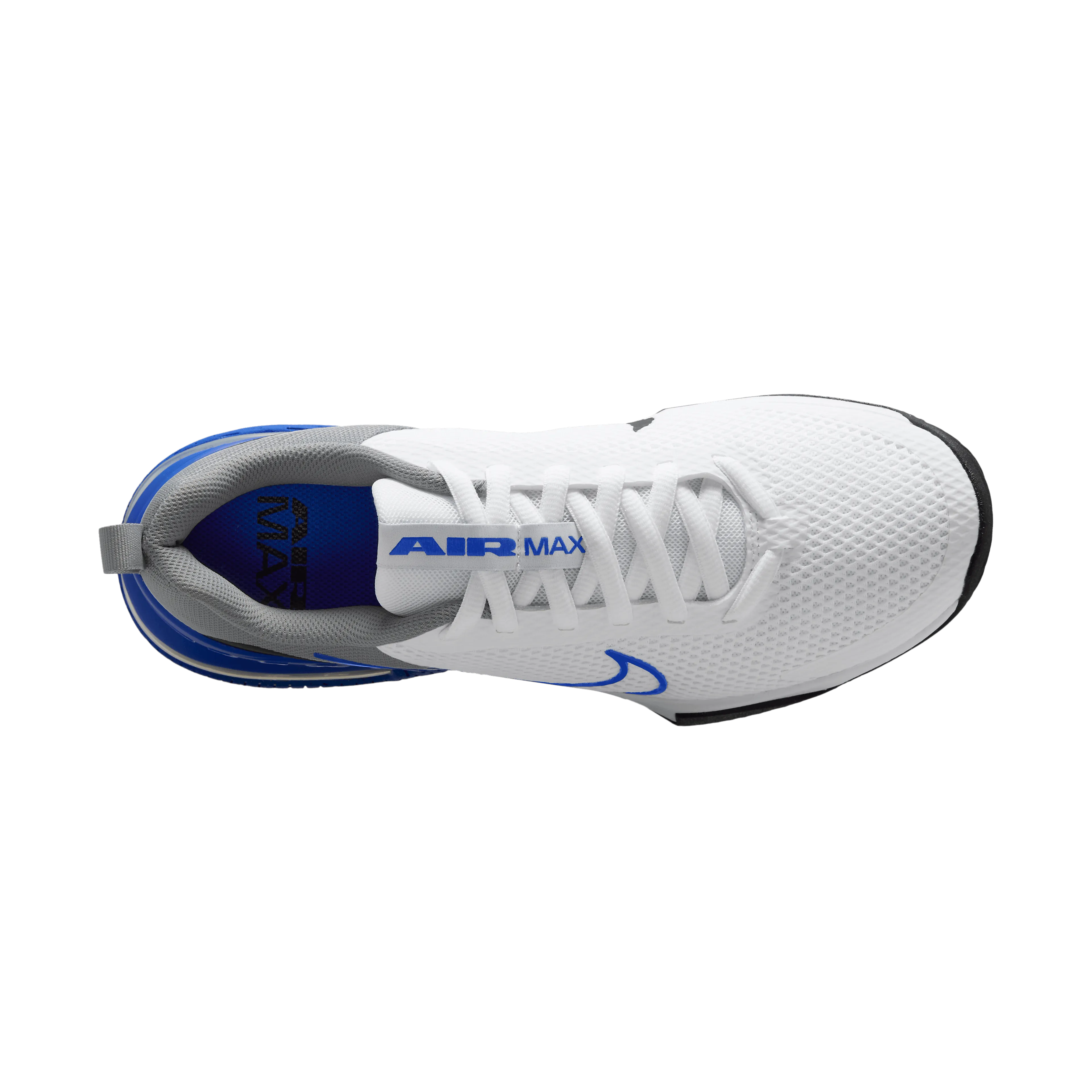 Air Max Alpha Trainer 6 Men's Workout Shoes