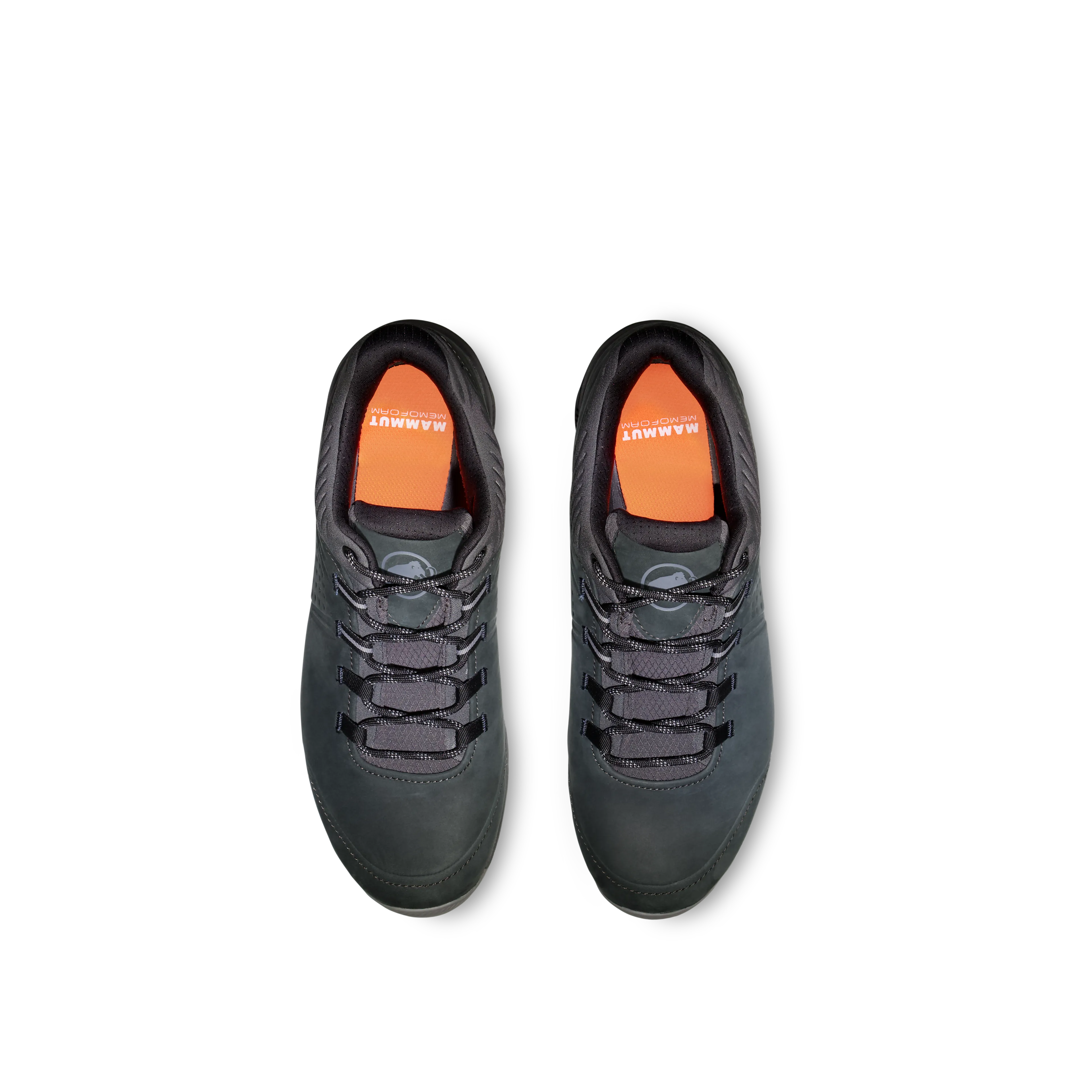 Mercury IV Low GTX Men