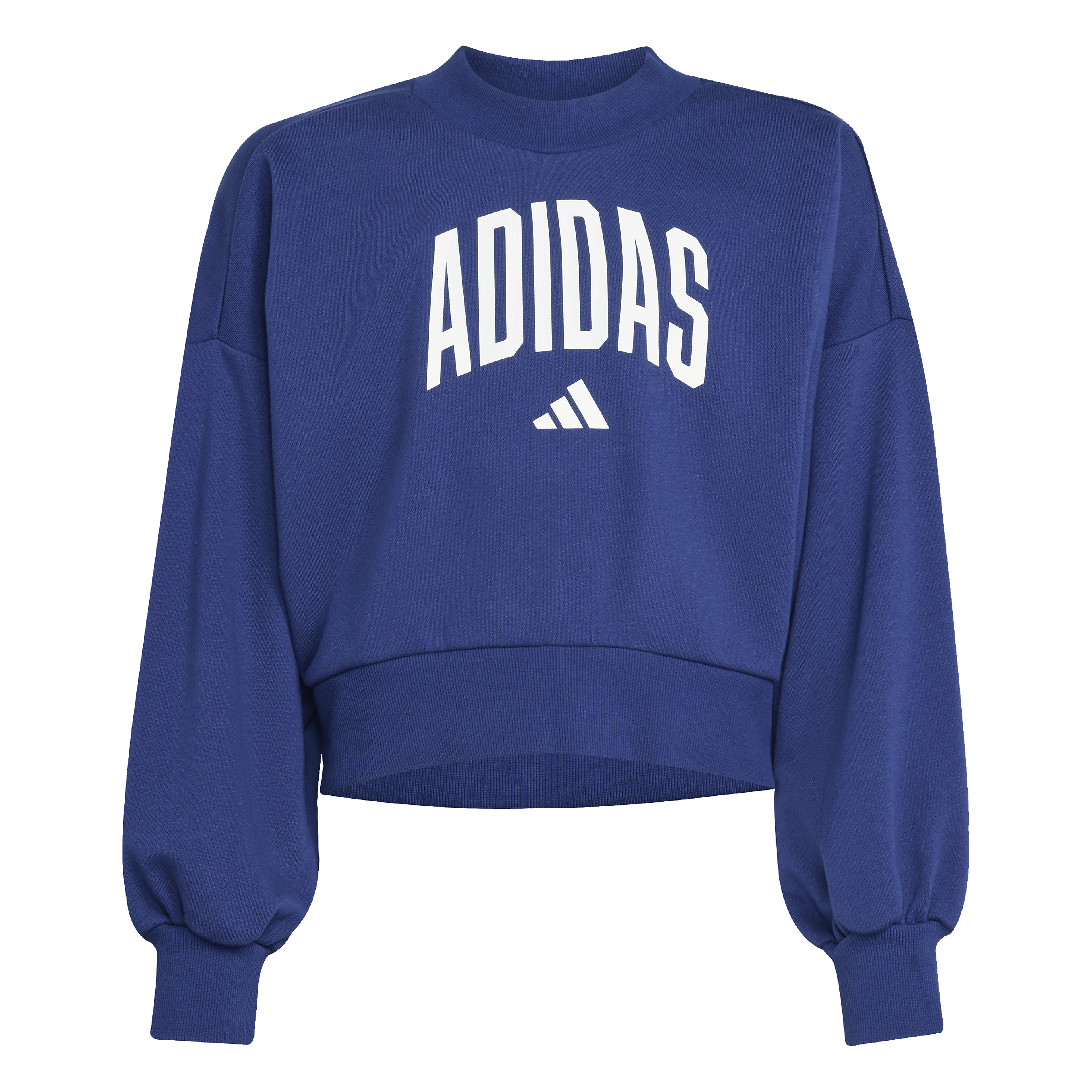 Seasonals Essentials Collegiate Typography Crewneck Genser Junior