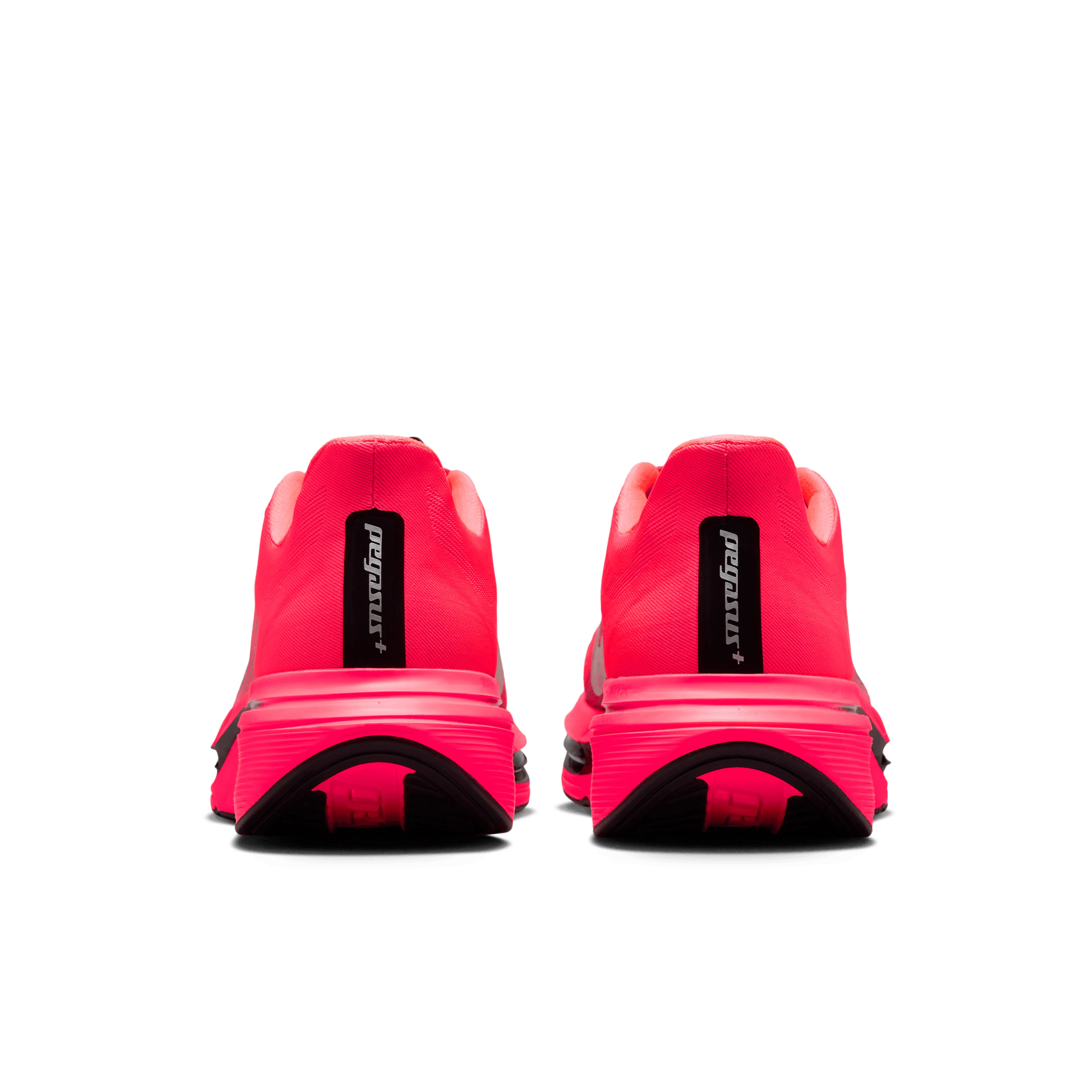 Pegasus Plus 2