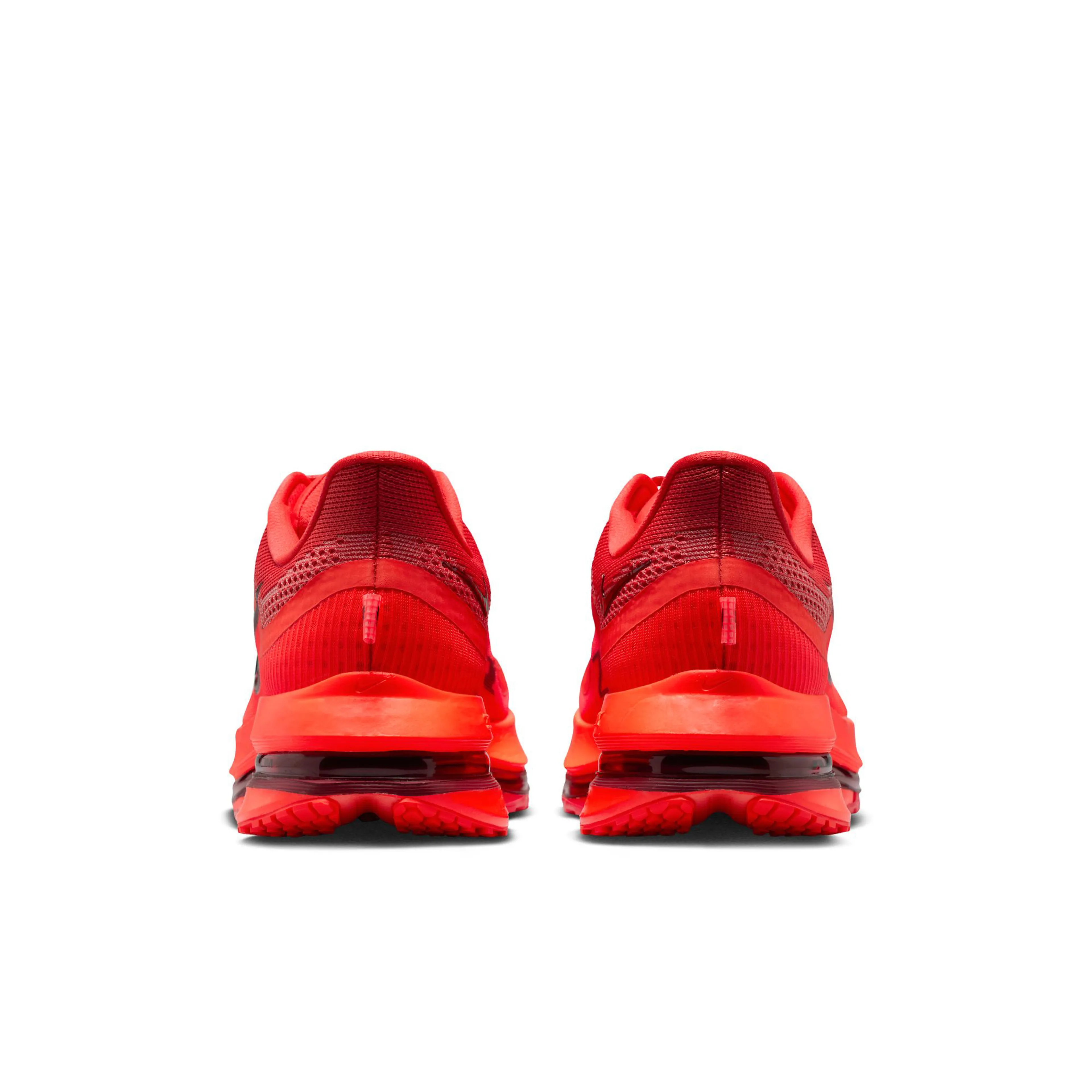 PEGASUS PREMIUM