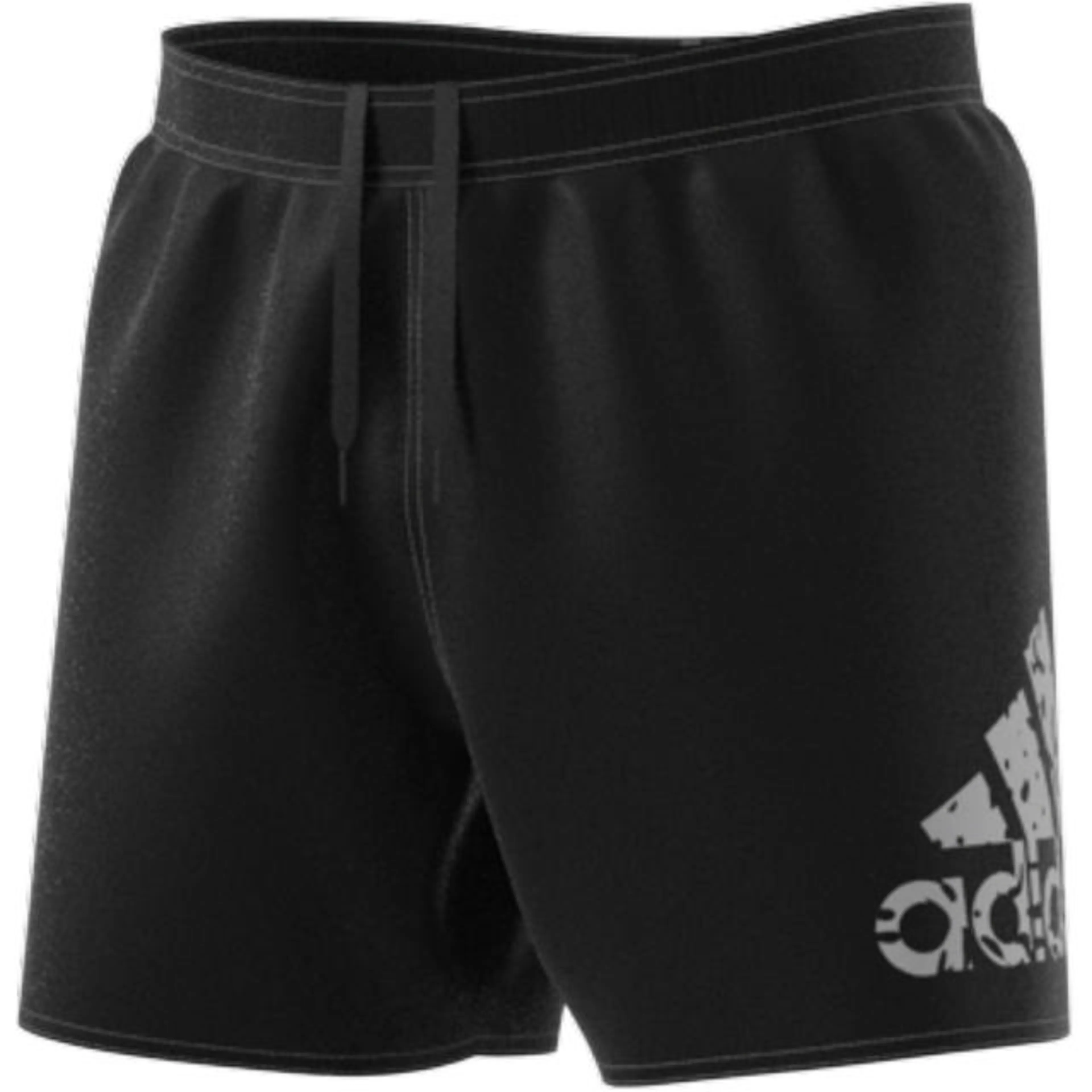 Big Logo CLX Short-Length badeshorts herre