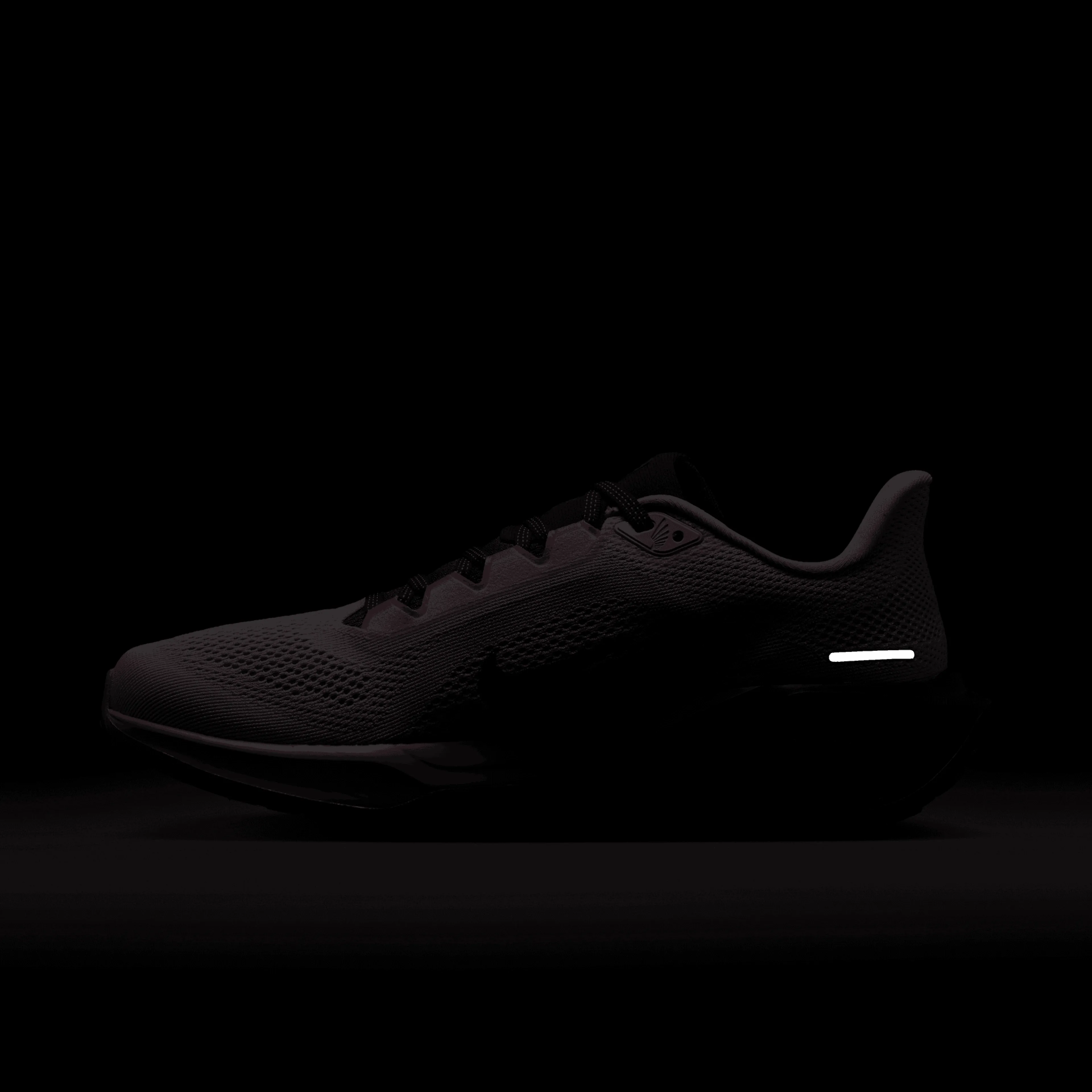 Pegasus 41 "Faith Kipyegon"