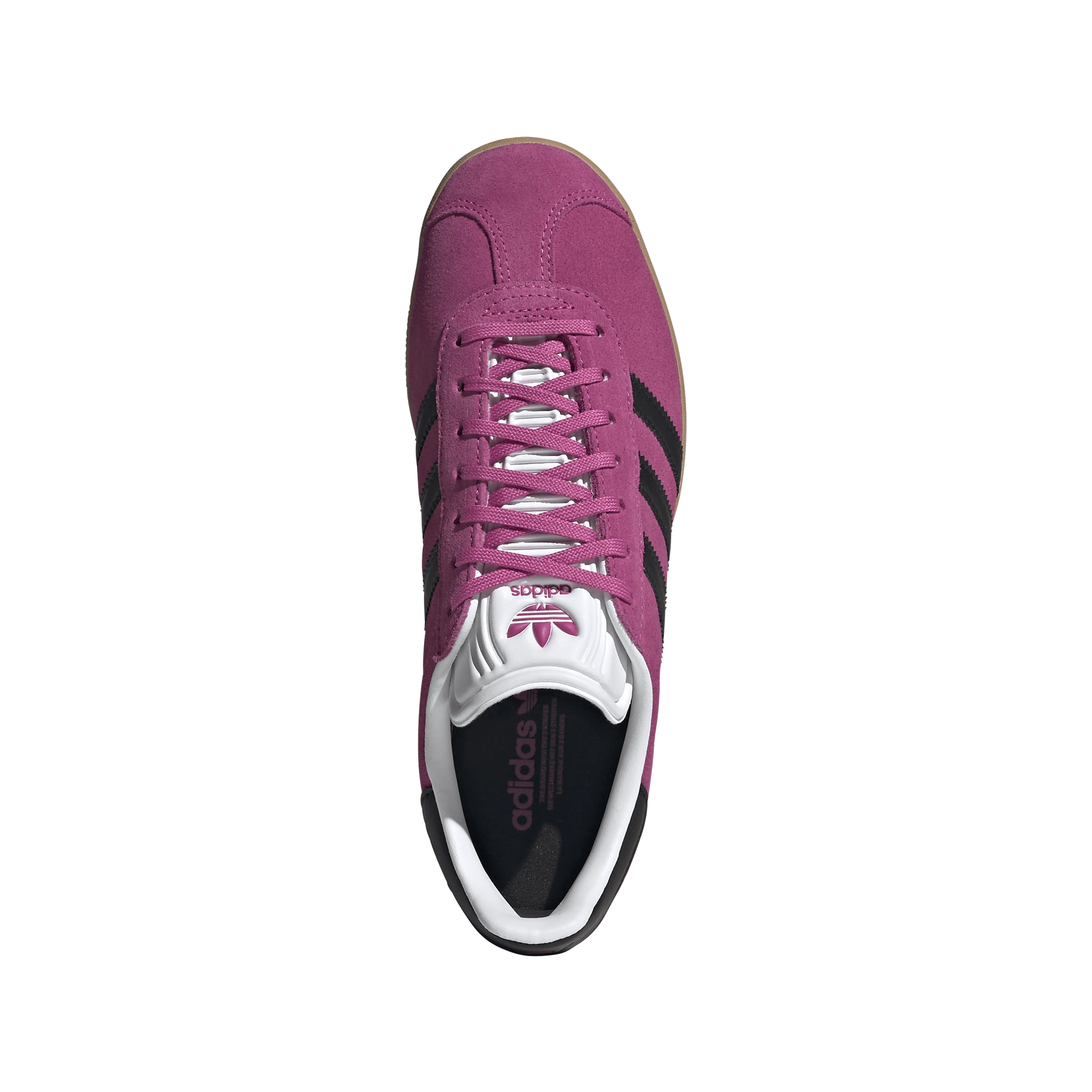 Gazelle W