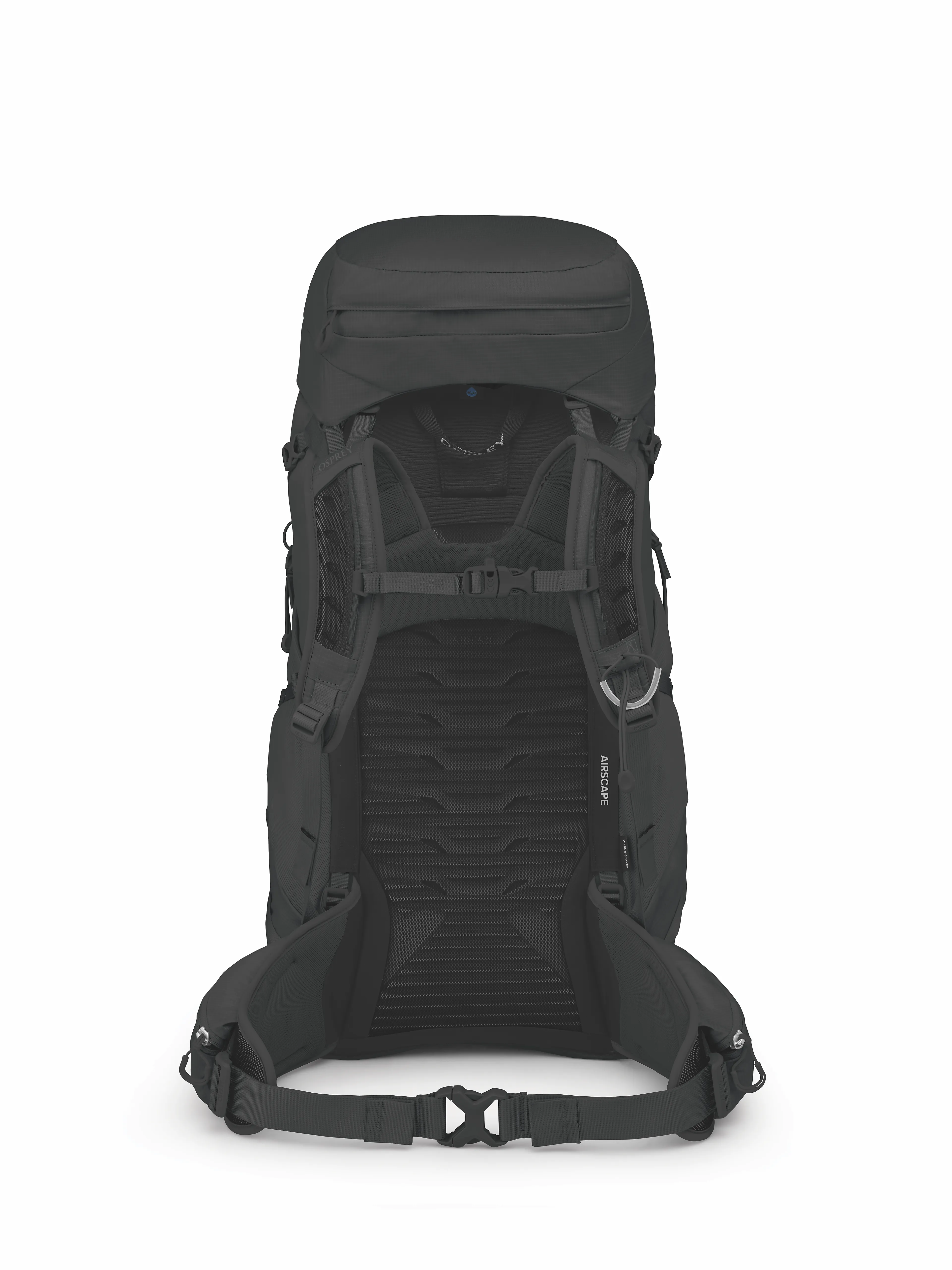 Talon 44