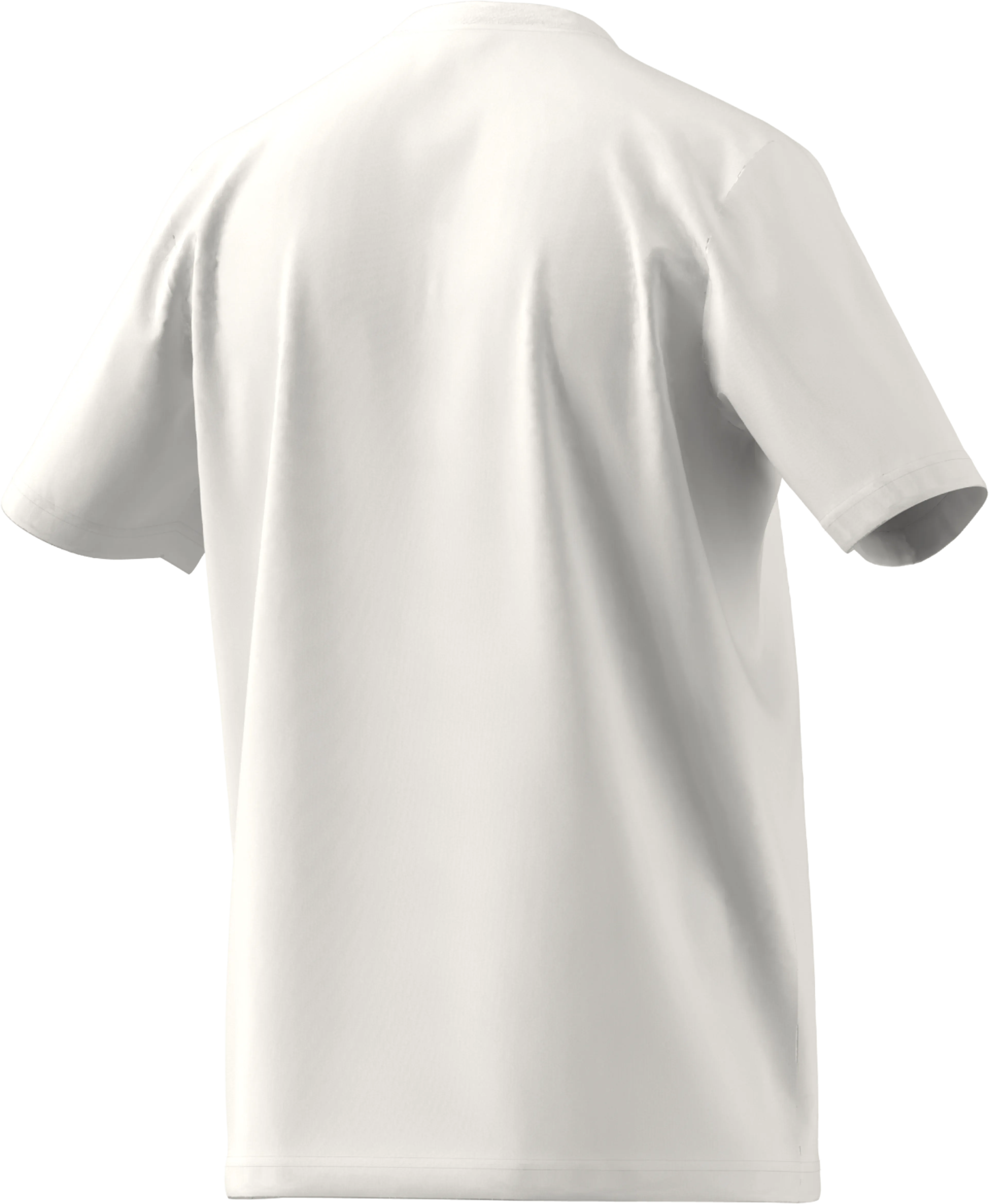 SPW TEE