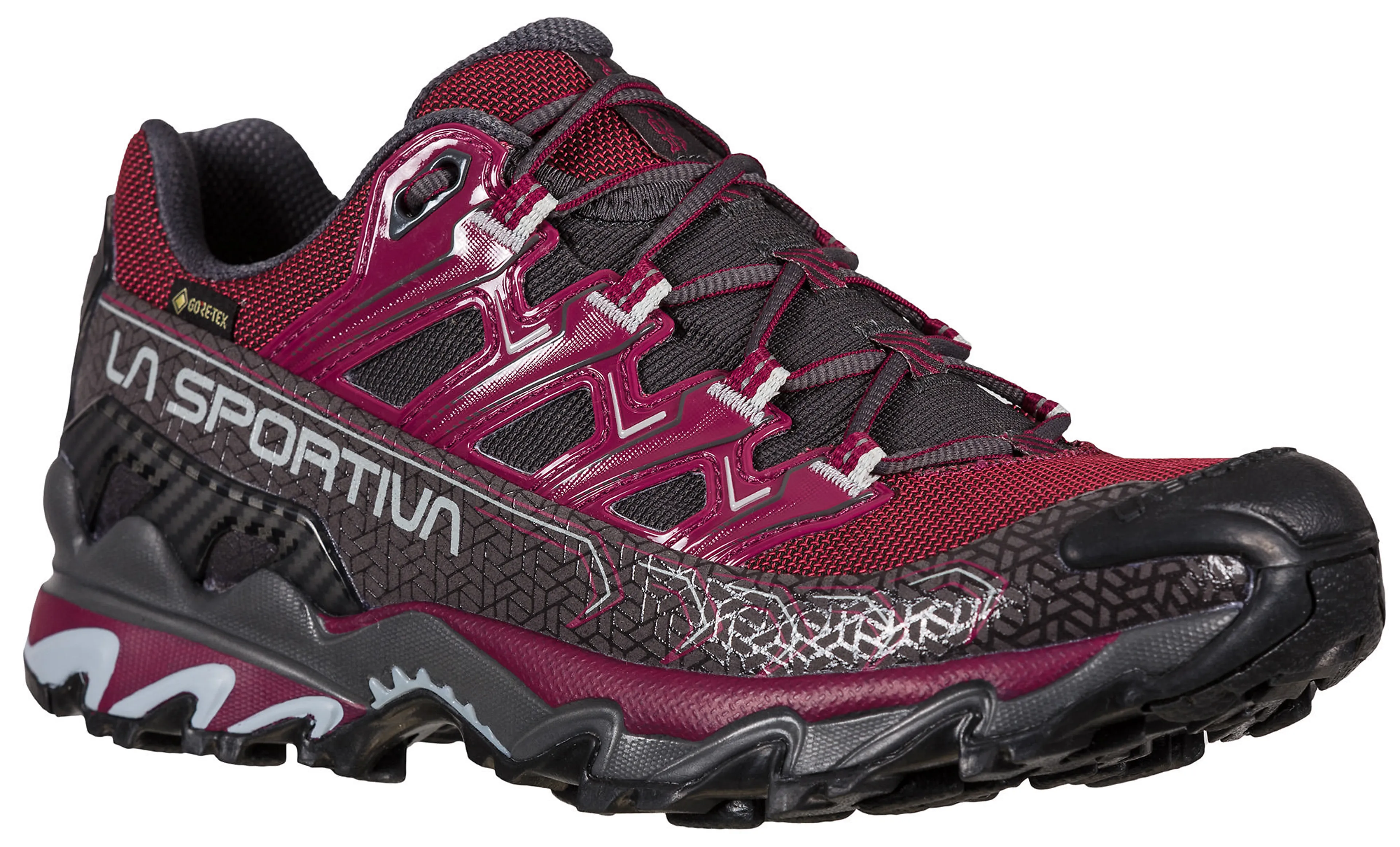 Ultra Raptor II GTX W's Hikingsko