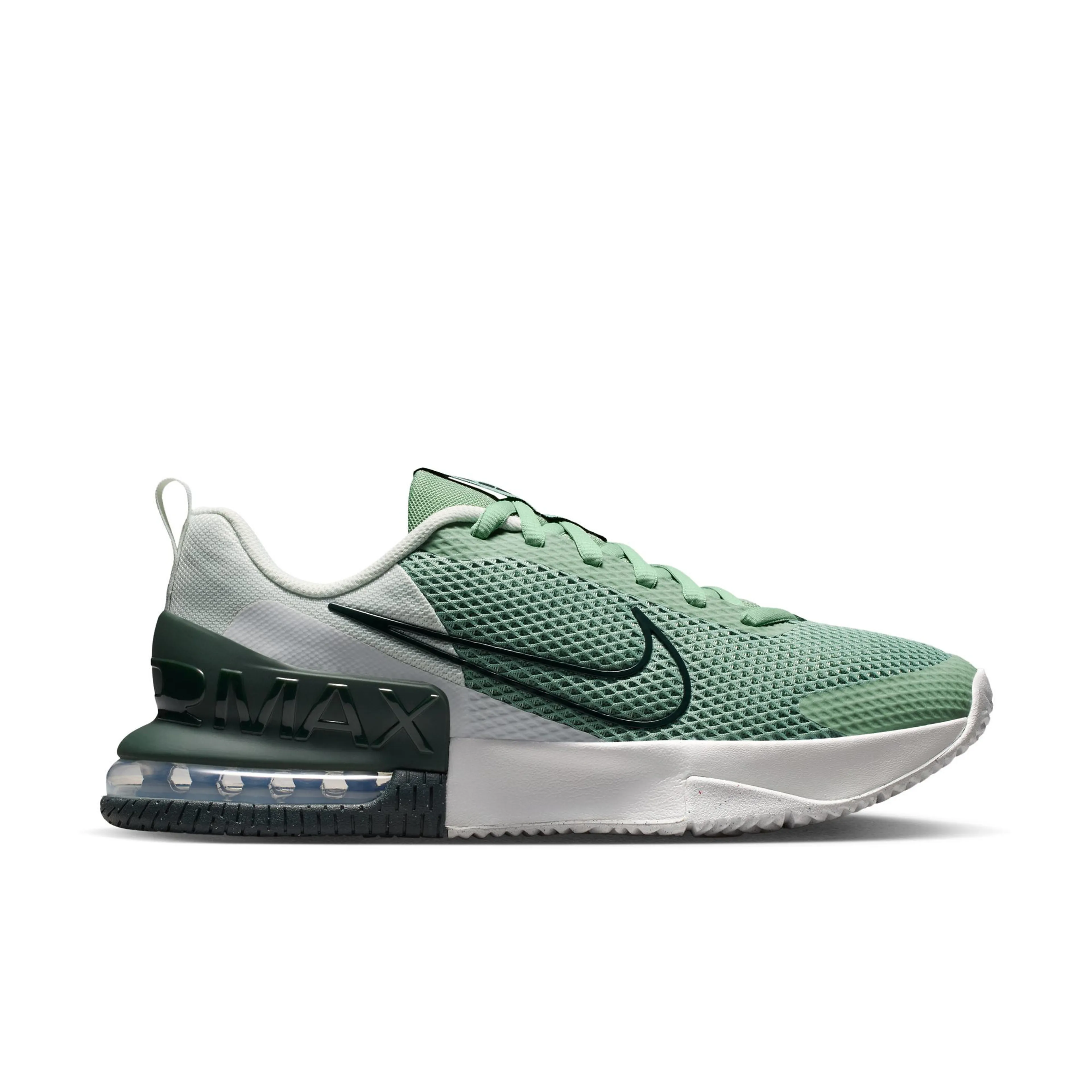 STEAM/BLACK SPRUCE-SPRUCE AURA-OFF WHITE