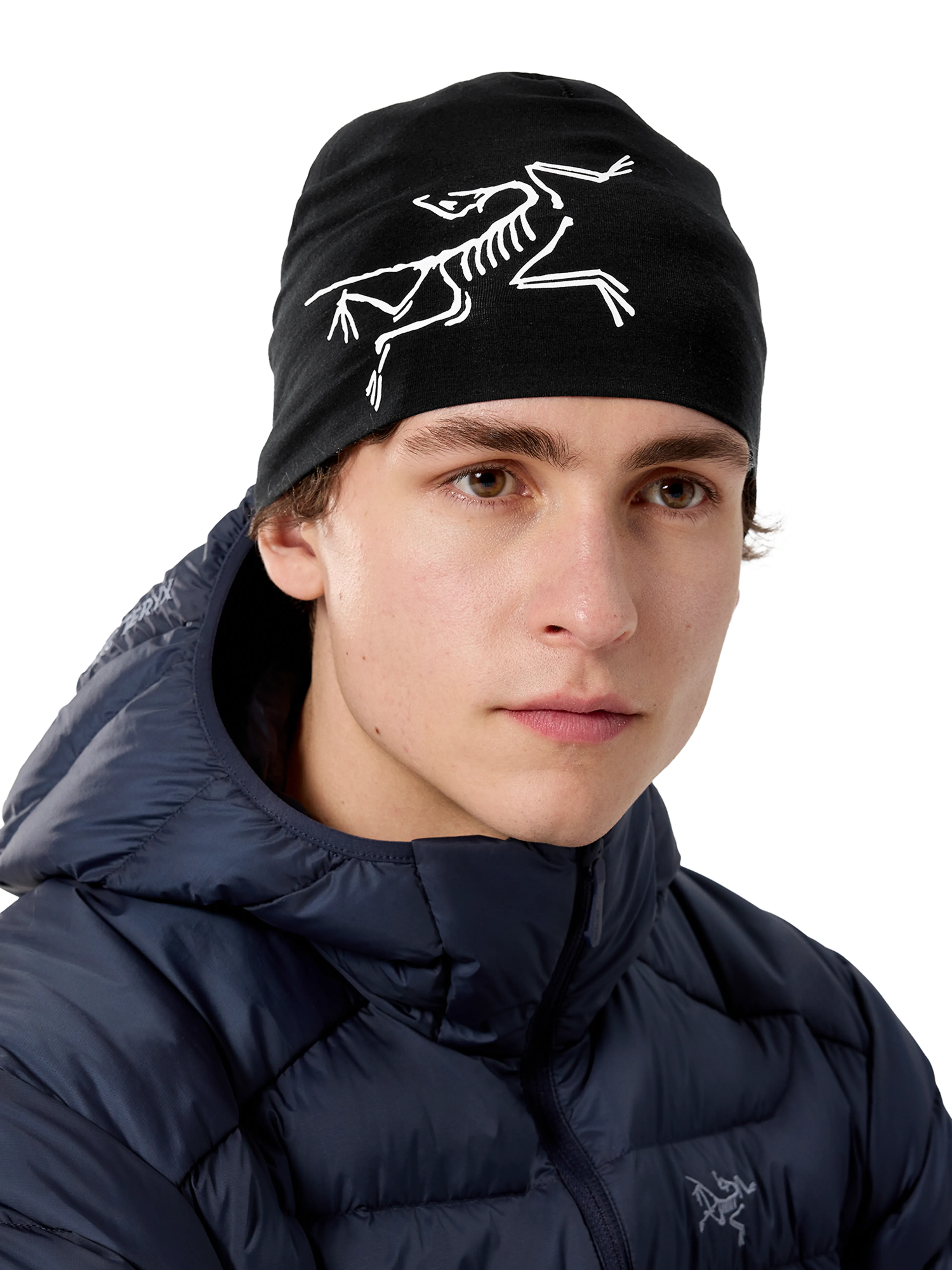 Satoro Merino Toque