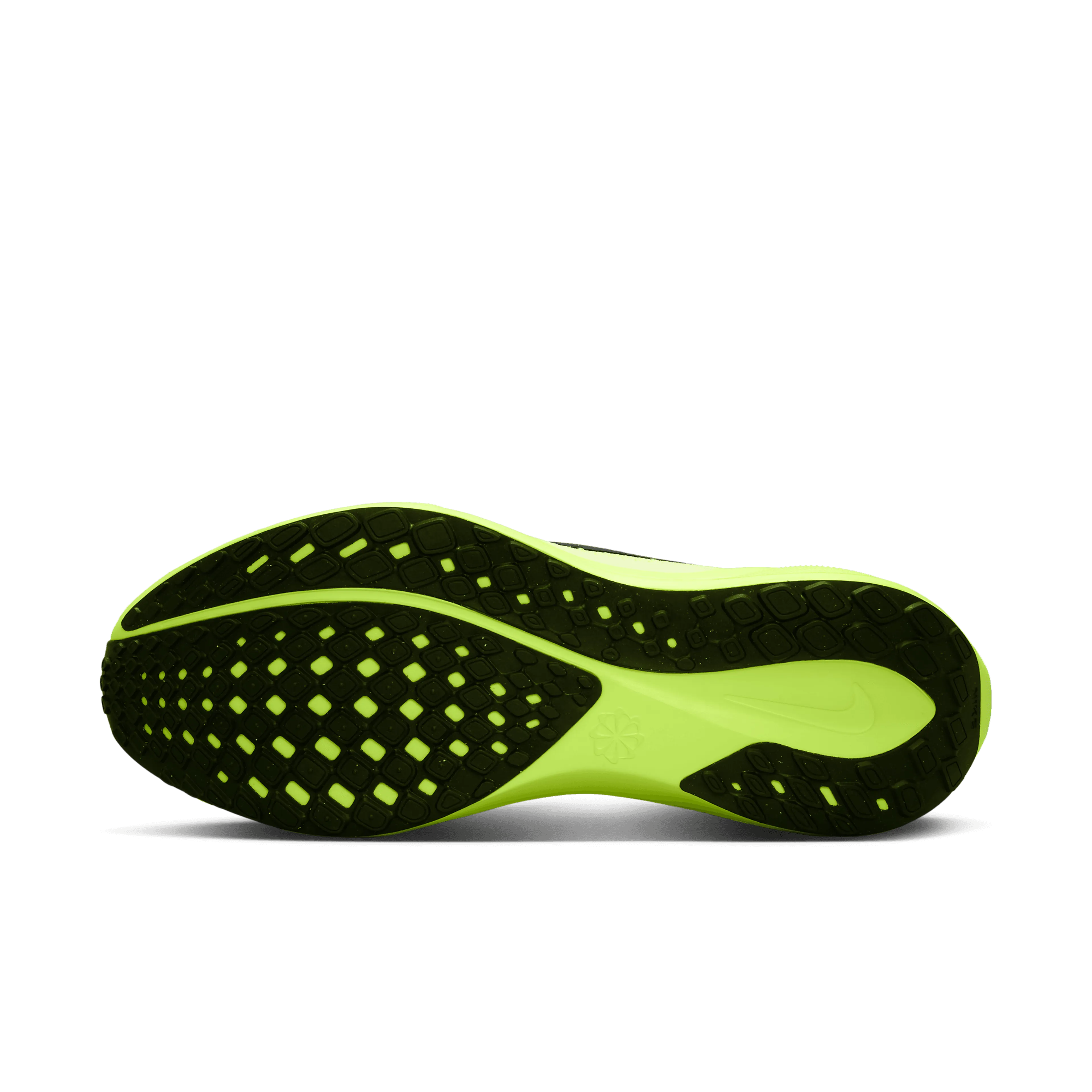  Pegasus 41