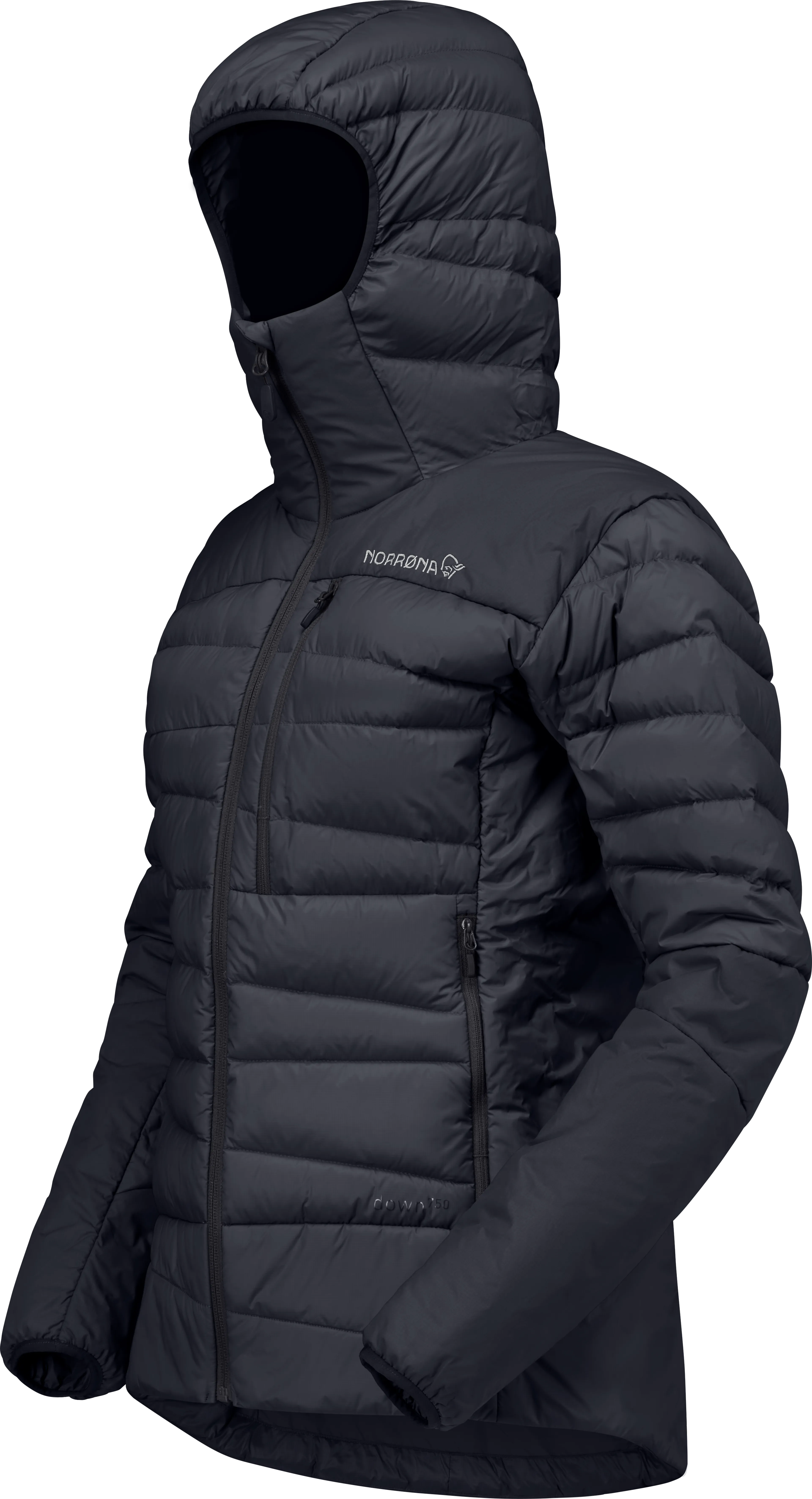 falketind down750 Hood W's